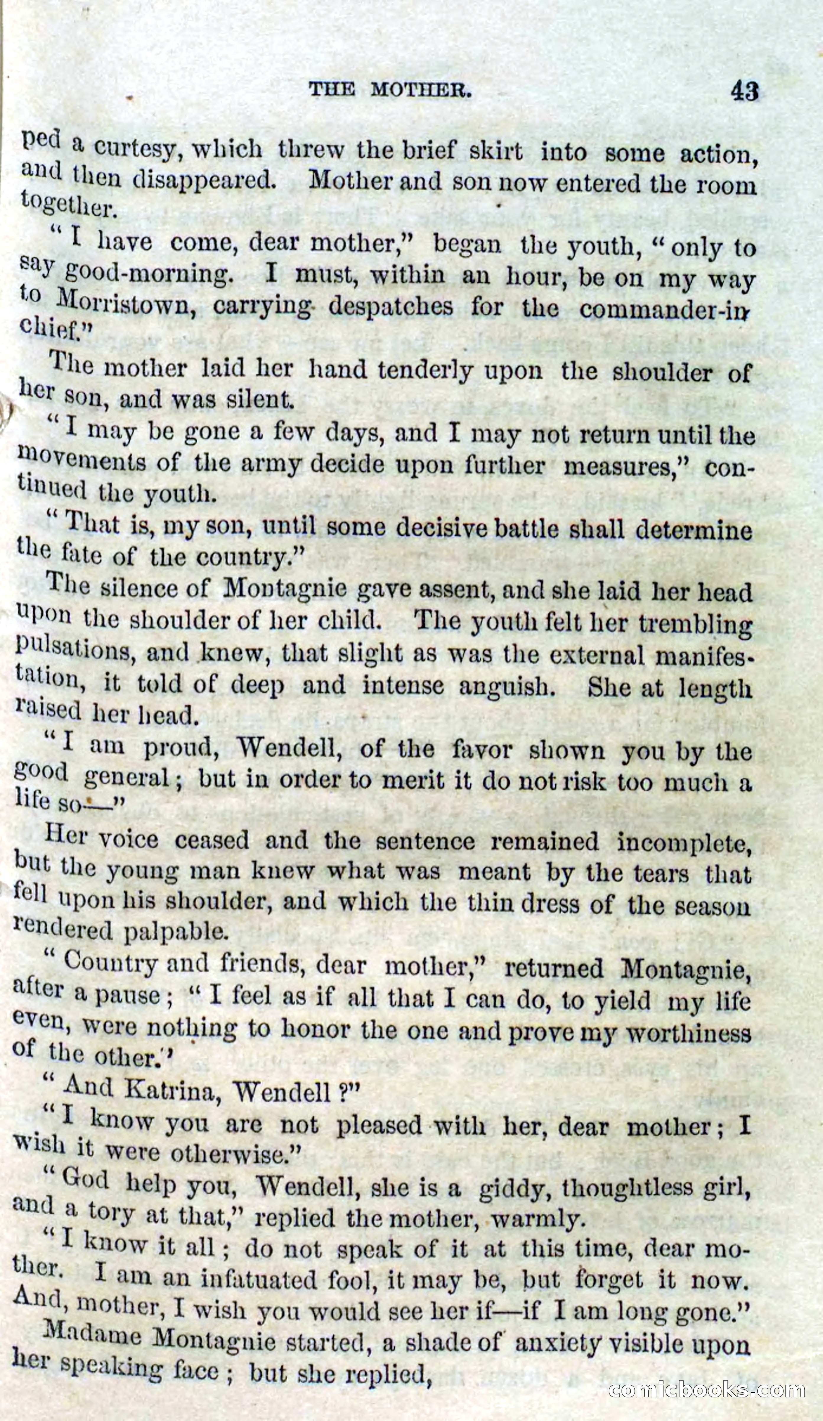 Beadle's Dime Novels No. 127: Bald Eagle — page 41 of 100