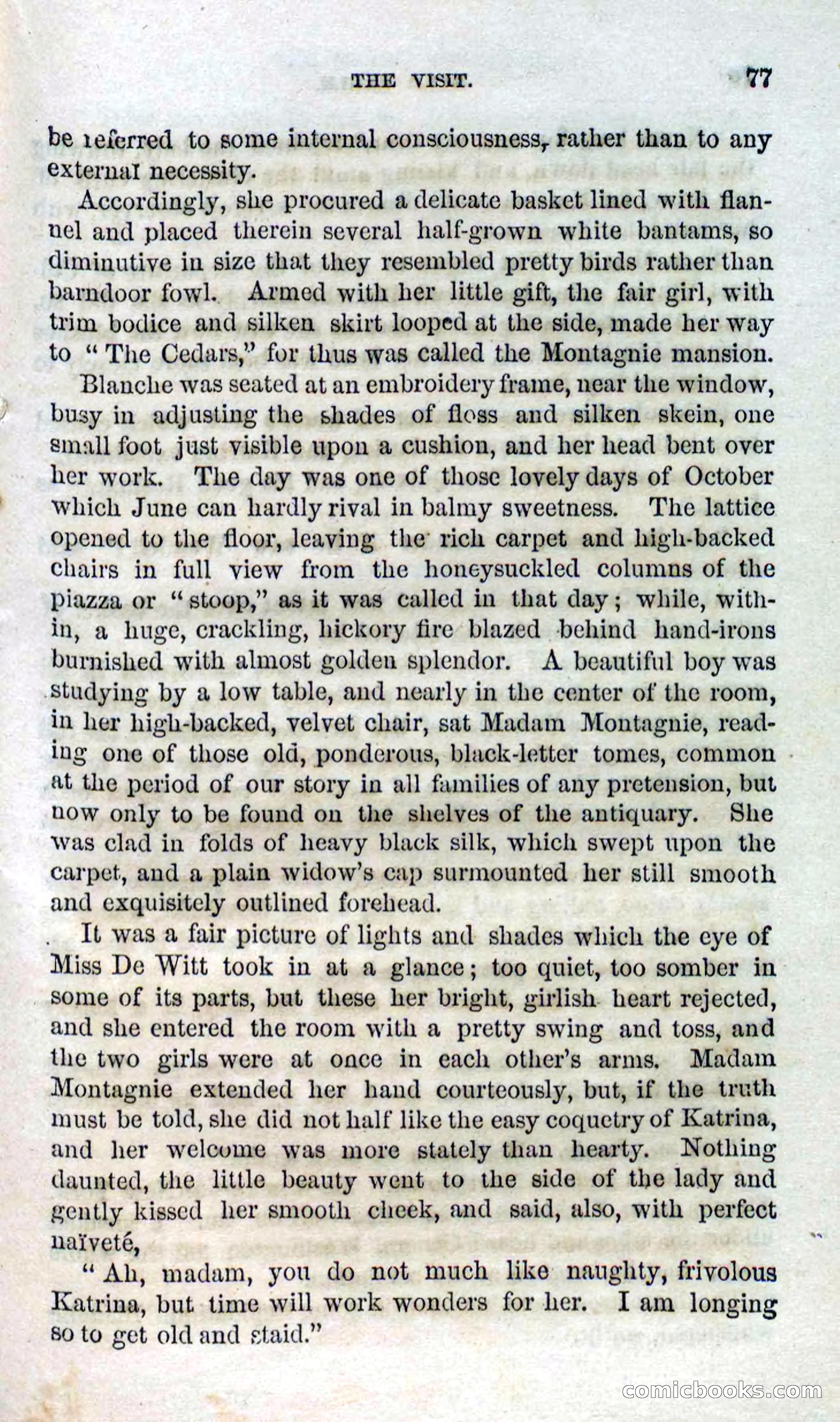 Beadle's Dime Novels No. 127: Bald Eagle — page 75 of 100