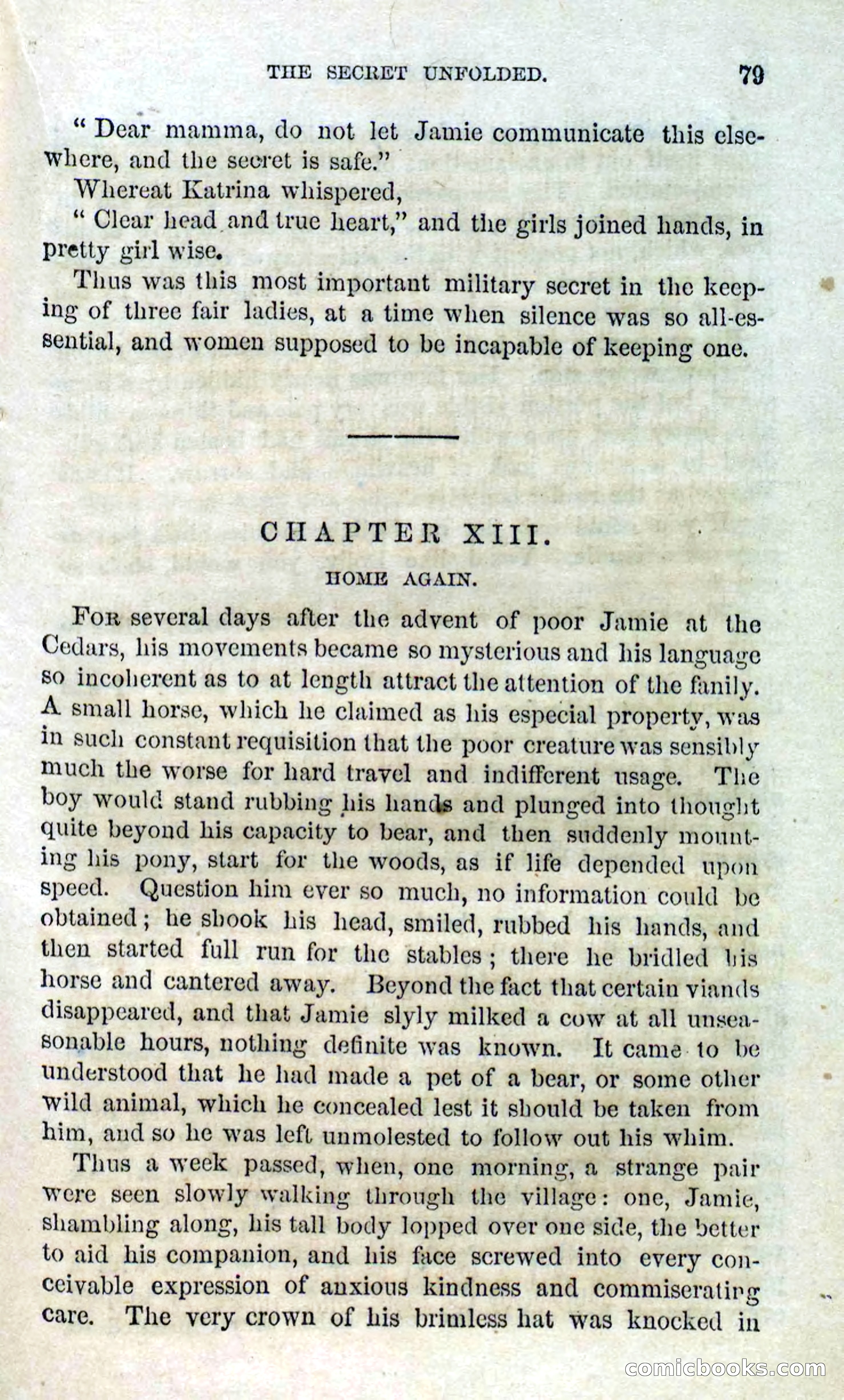 Beadle's Dime Novels No. 127: Bald Eagle — page 77 of 100
