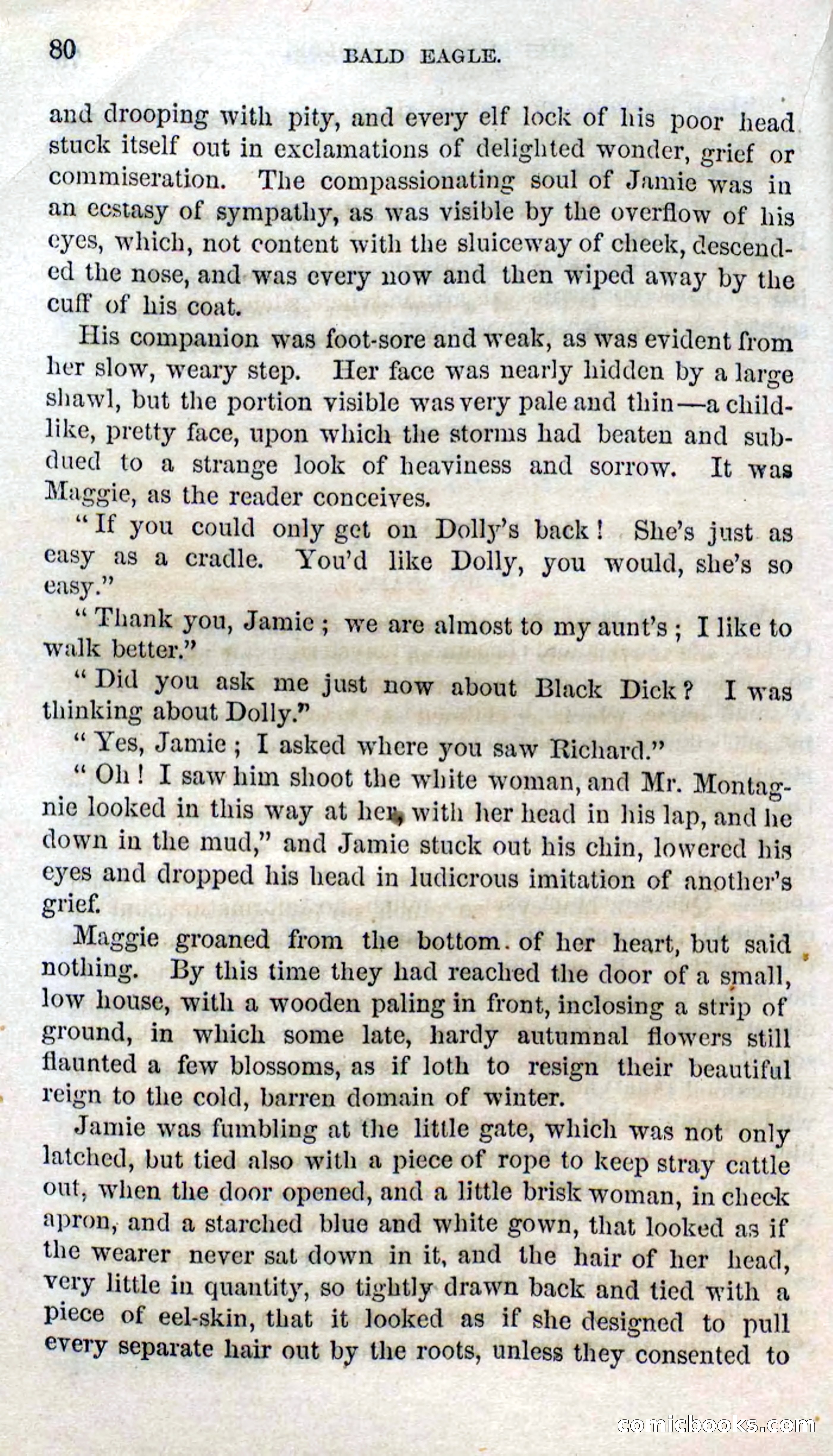 Beadle's Dime Novels No. 127: Bald Eagle — page 78 of 100