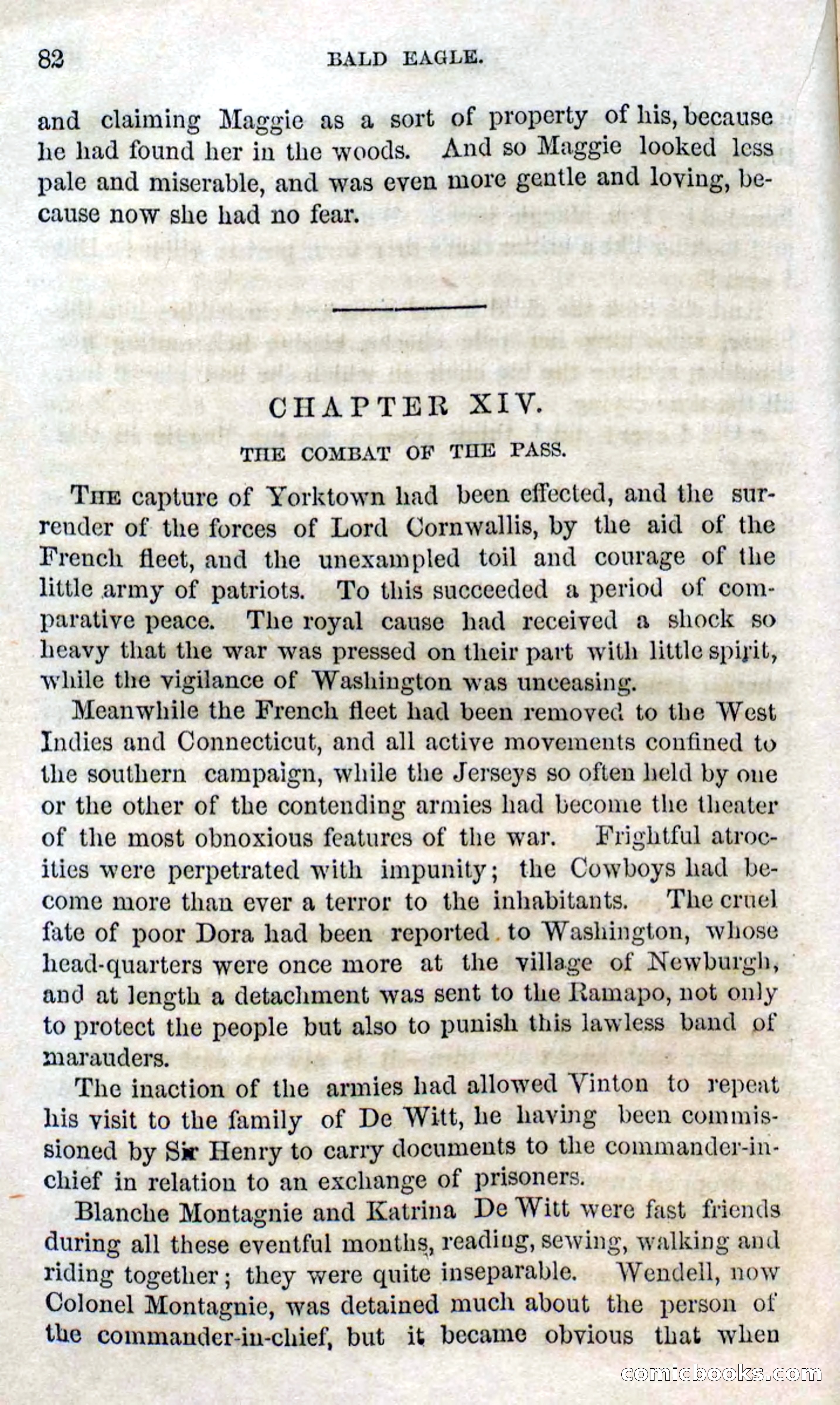 Beadle's Dime Novels No. 127: Bald Eagle — page 80 of 100