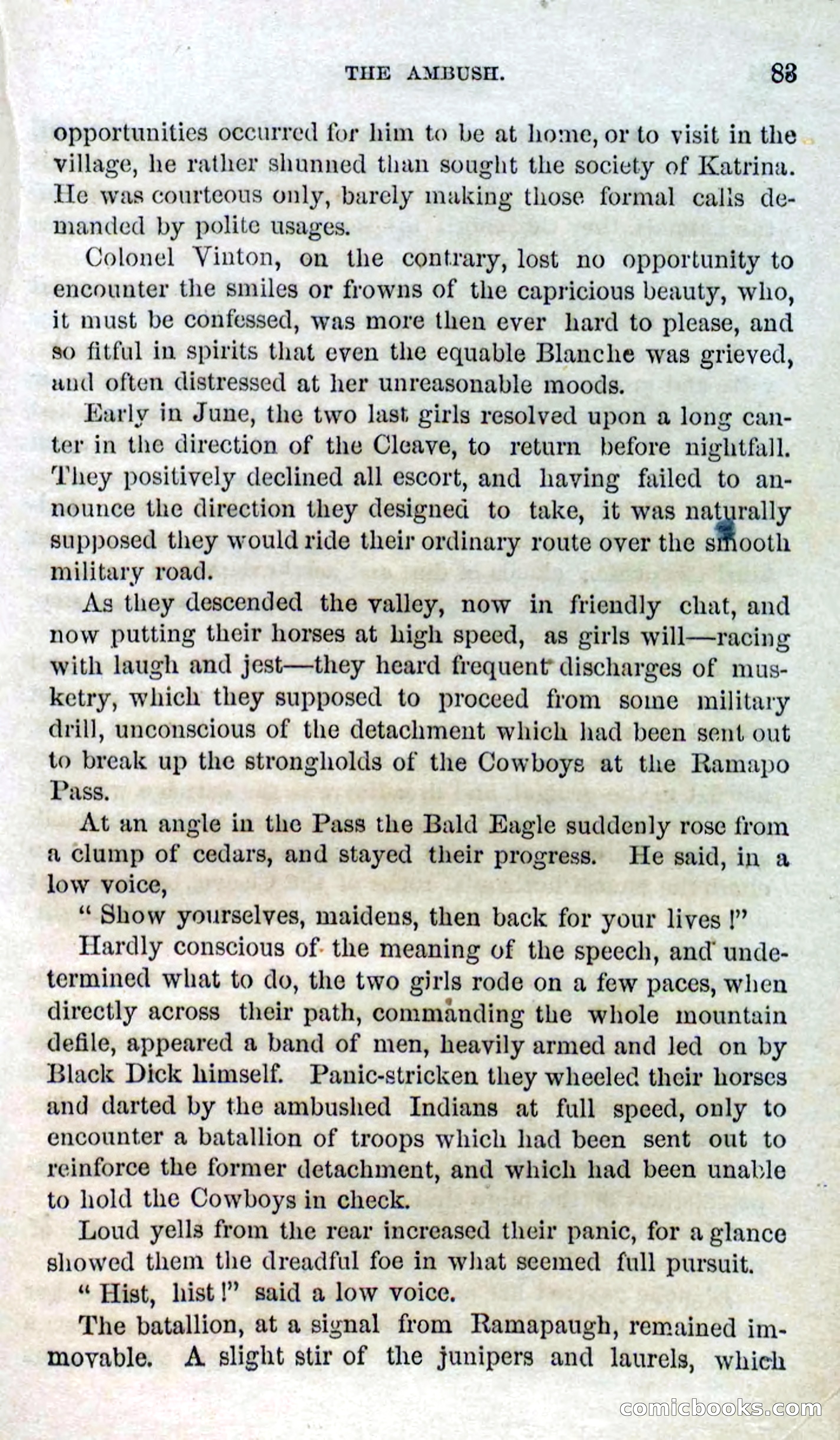 Beadle's Dime Novels No. 127: Bald Eagle — page 81 of 100