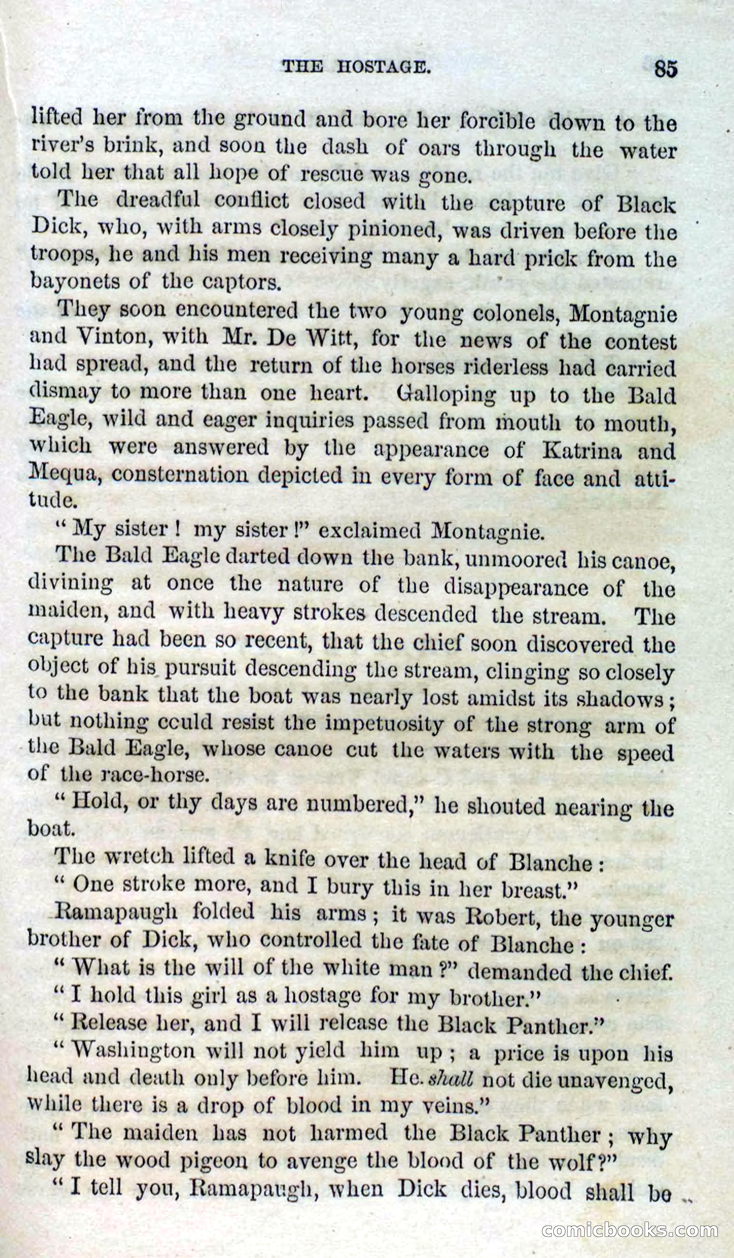Beadle's Dime Novels No. 127: Bald Eagle — page 83 of 100