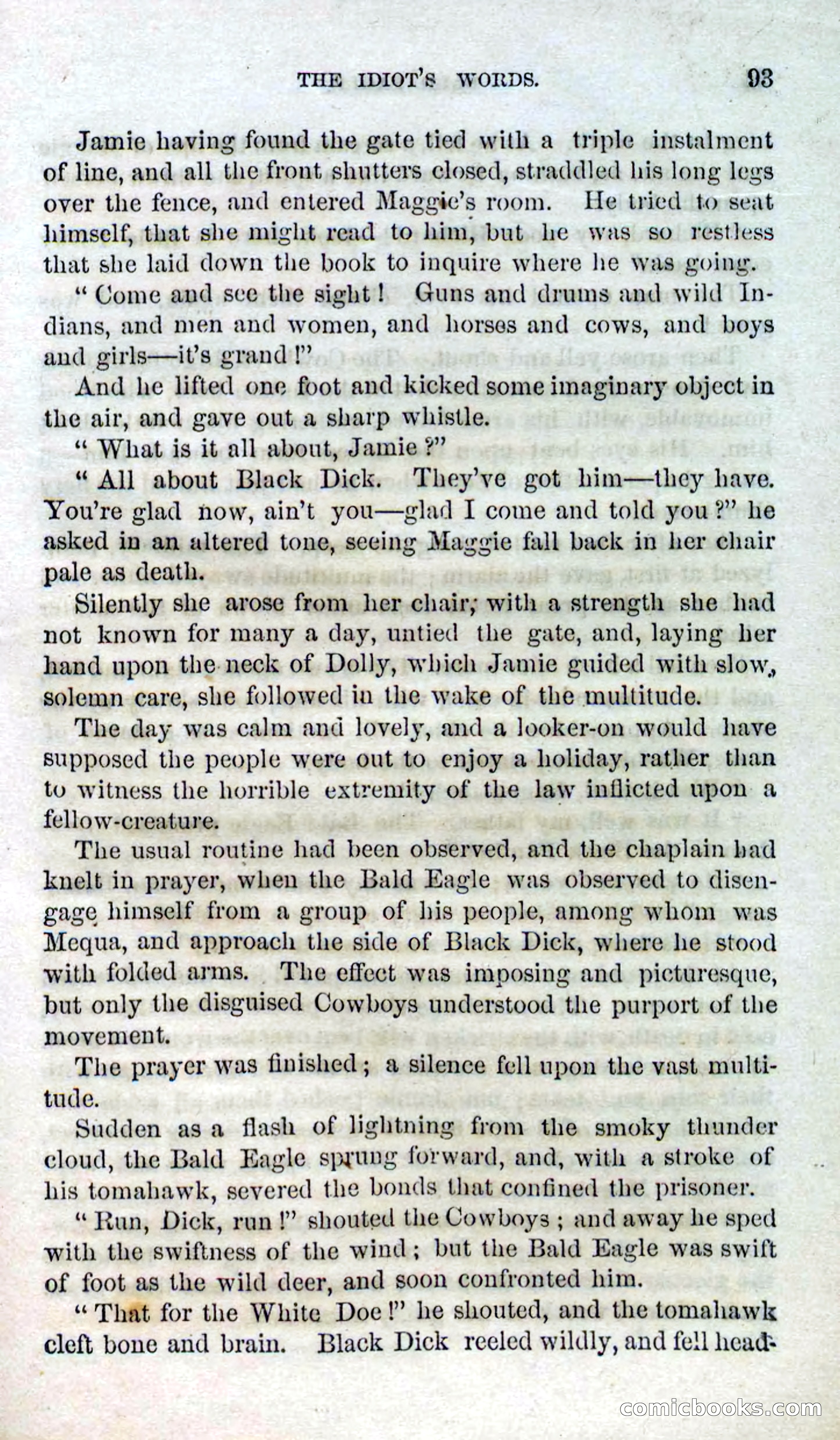Beadle's Dime Novels No. 127: Bald Eagle — page 91 of 100