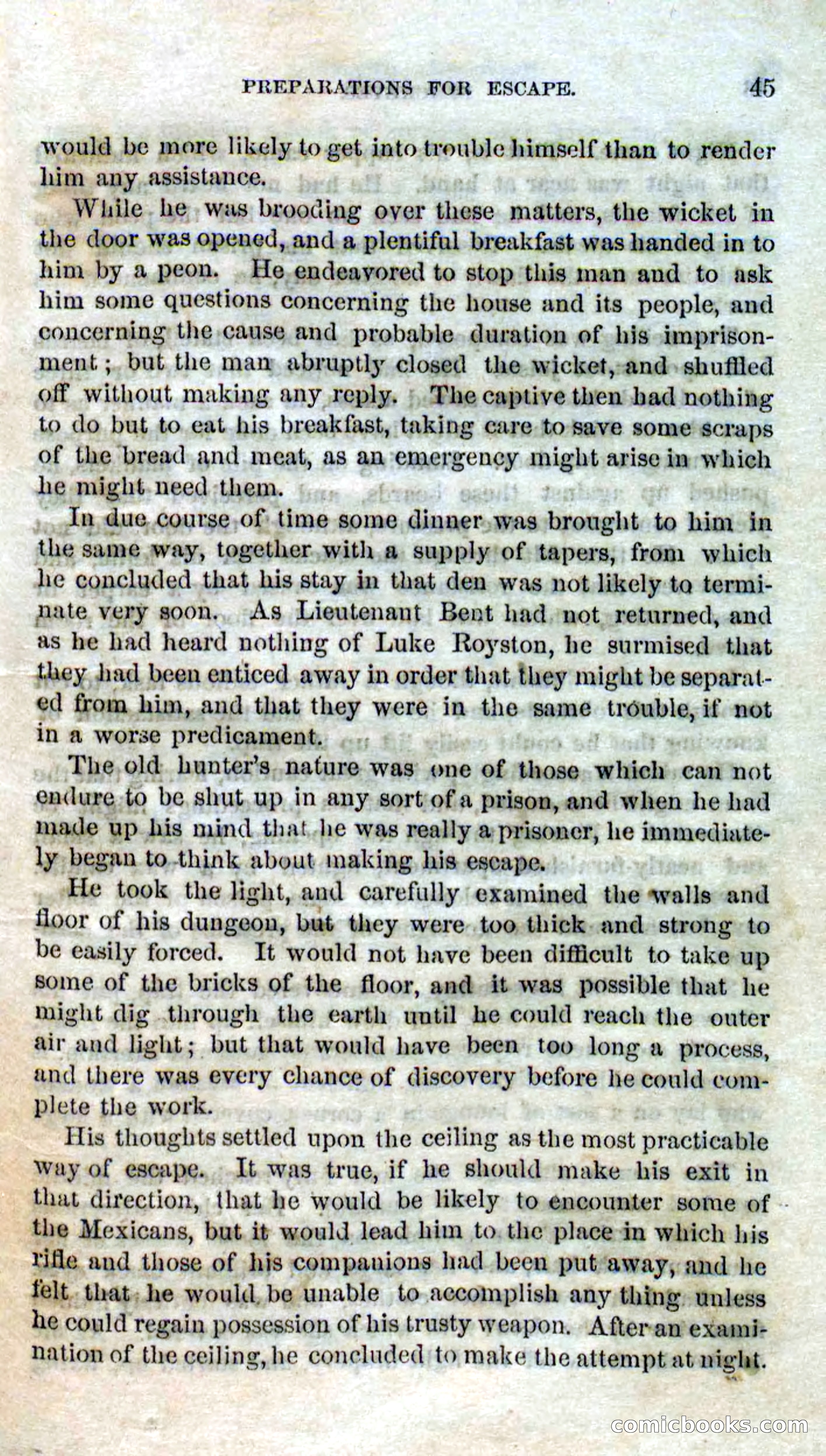 Beadle's Dime Novels No. 119: Blackeyes — page 43 of 100