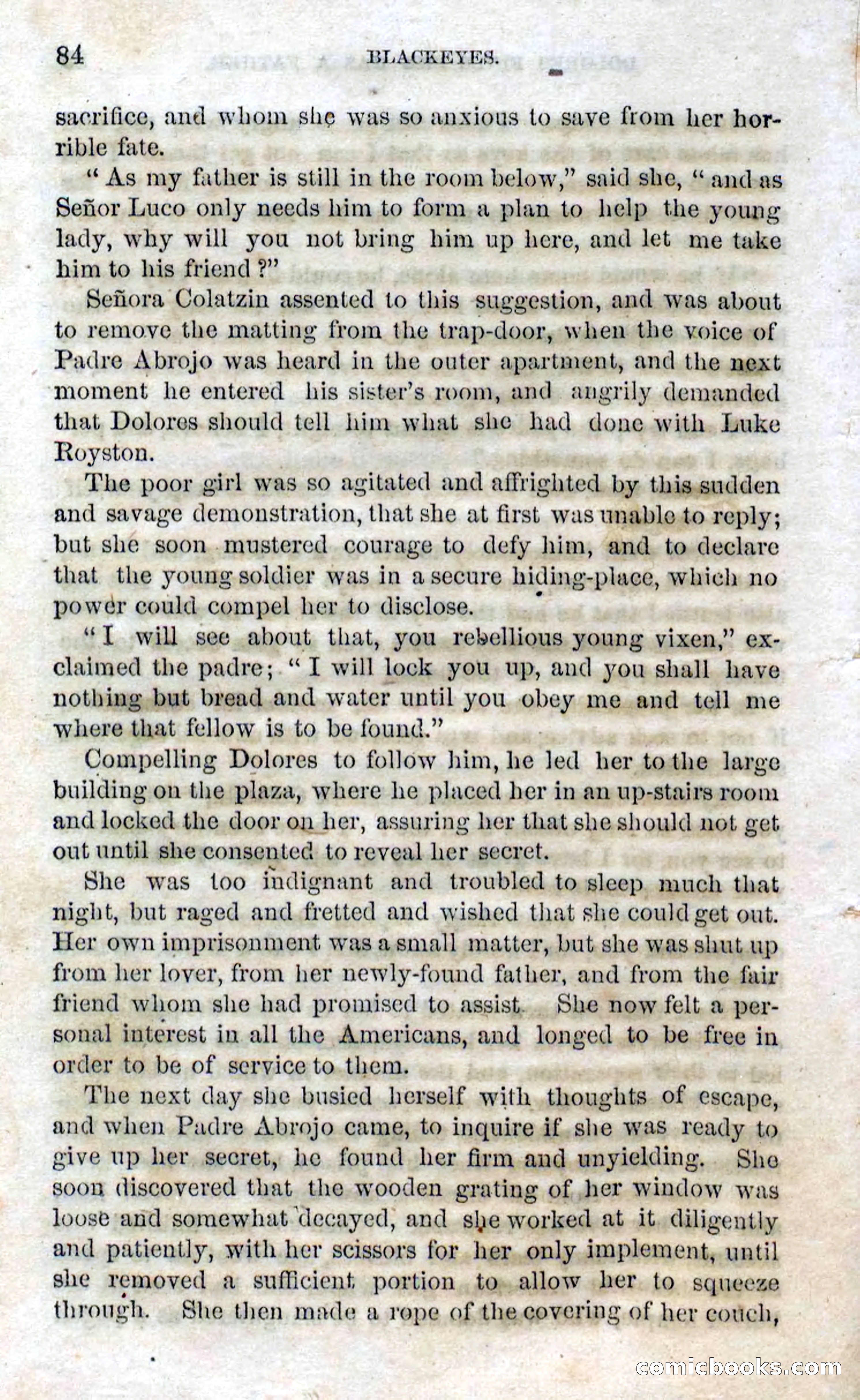 Beadle's Dime Novels No. 119: Blackeyes — page 82 of 100