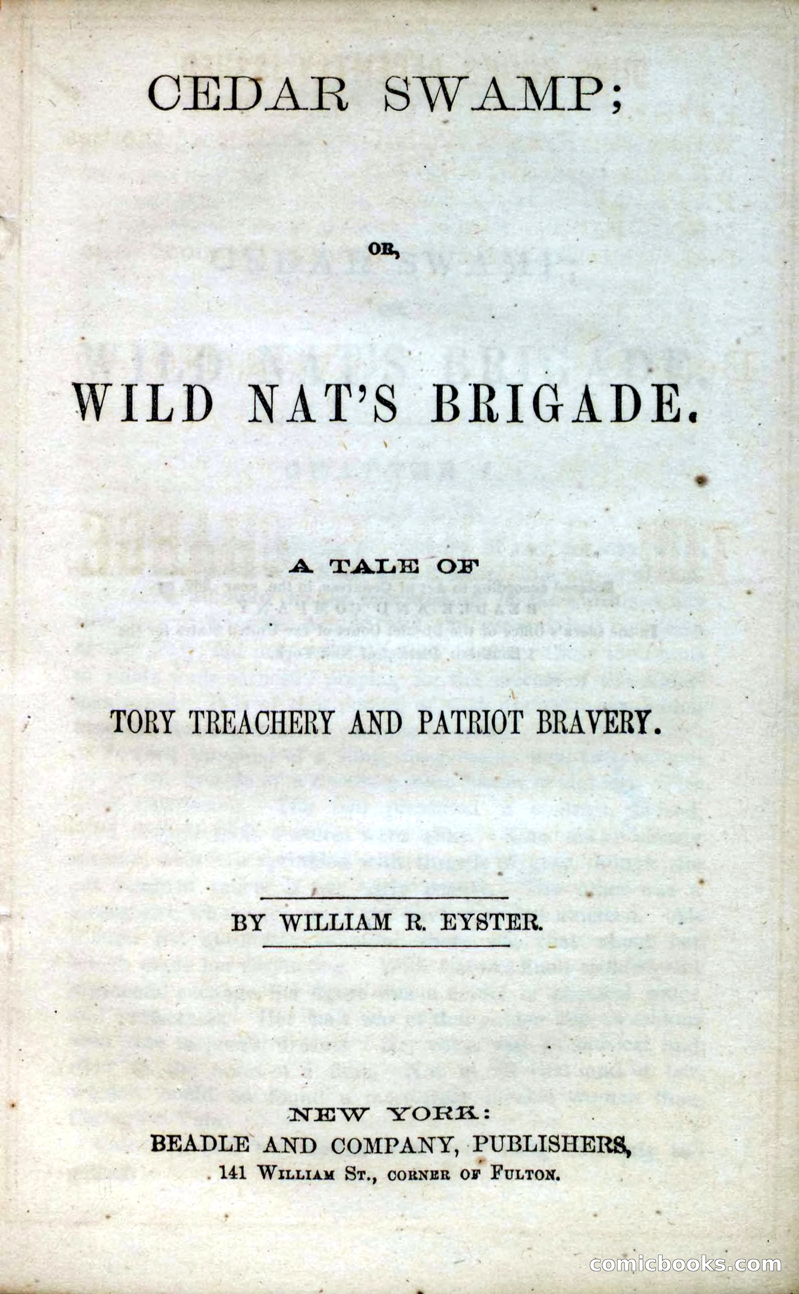 Beadle's Dime Novels No. 13 — page 5 of 108