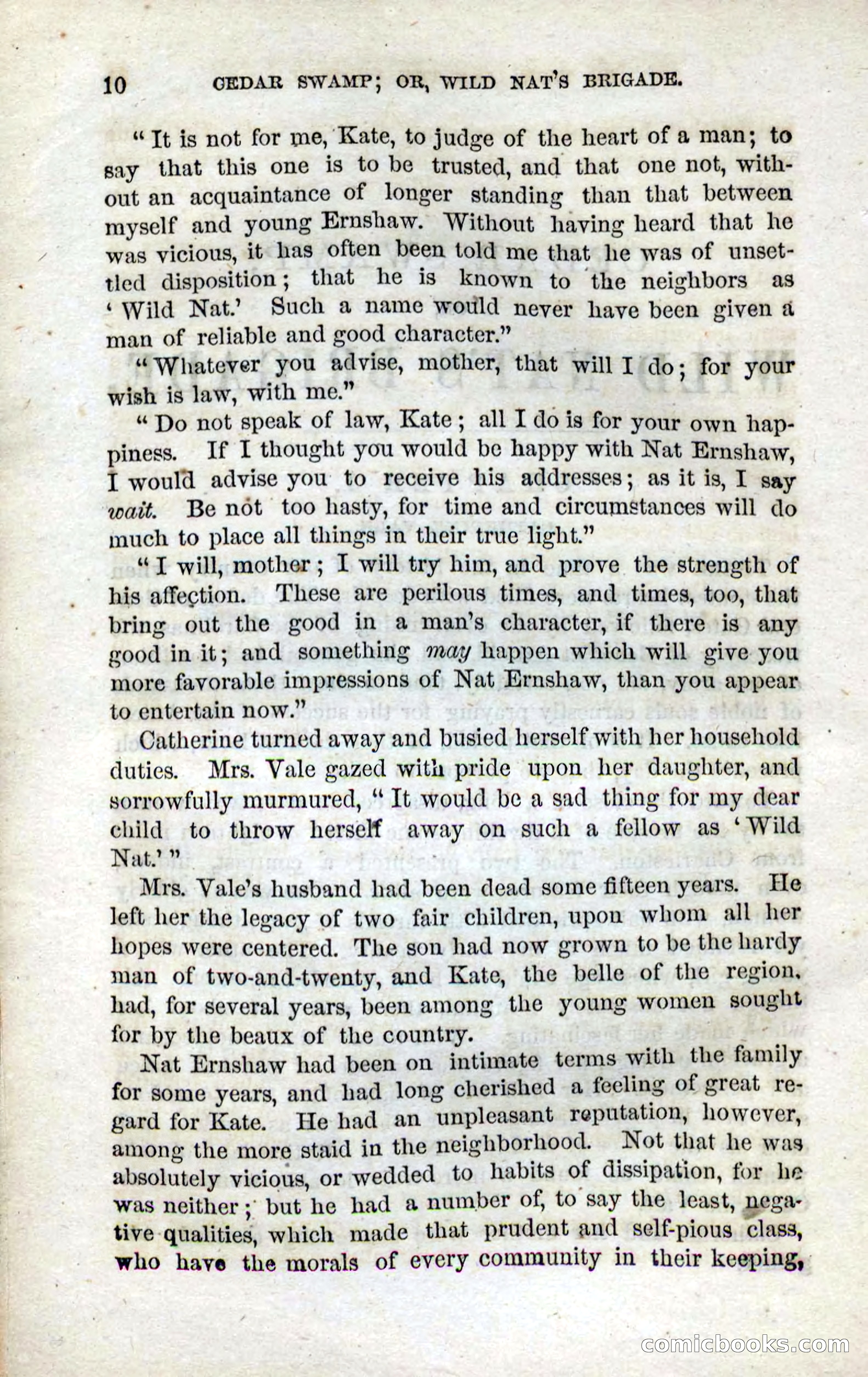 Beadle's Dime Novels No. 13 — page 8 of 108