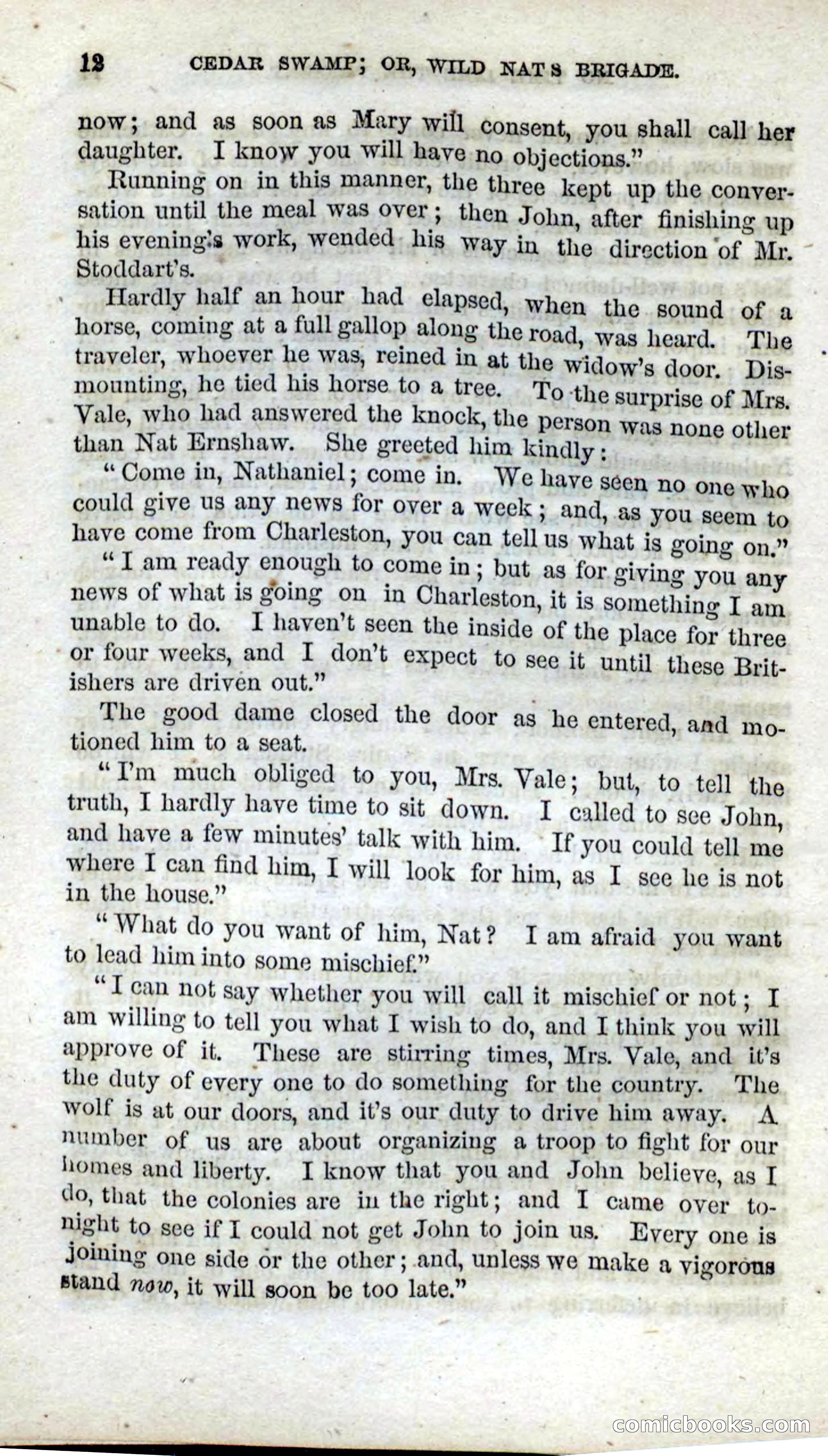 Beadle's Dime Novels No. 13 — page 10 of 108