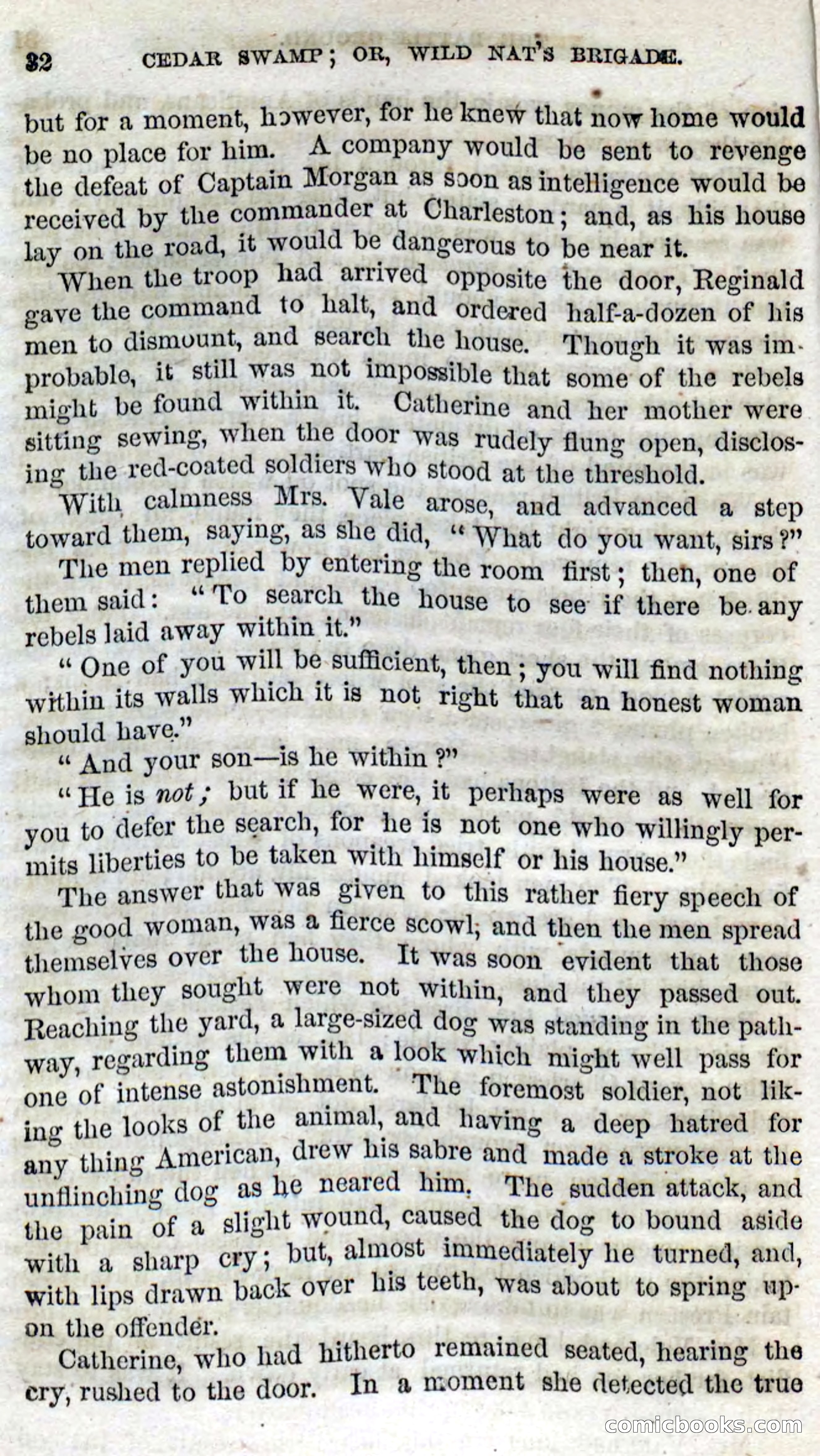 Beadle's Dime Novels No. 13 — page 30 of 108