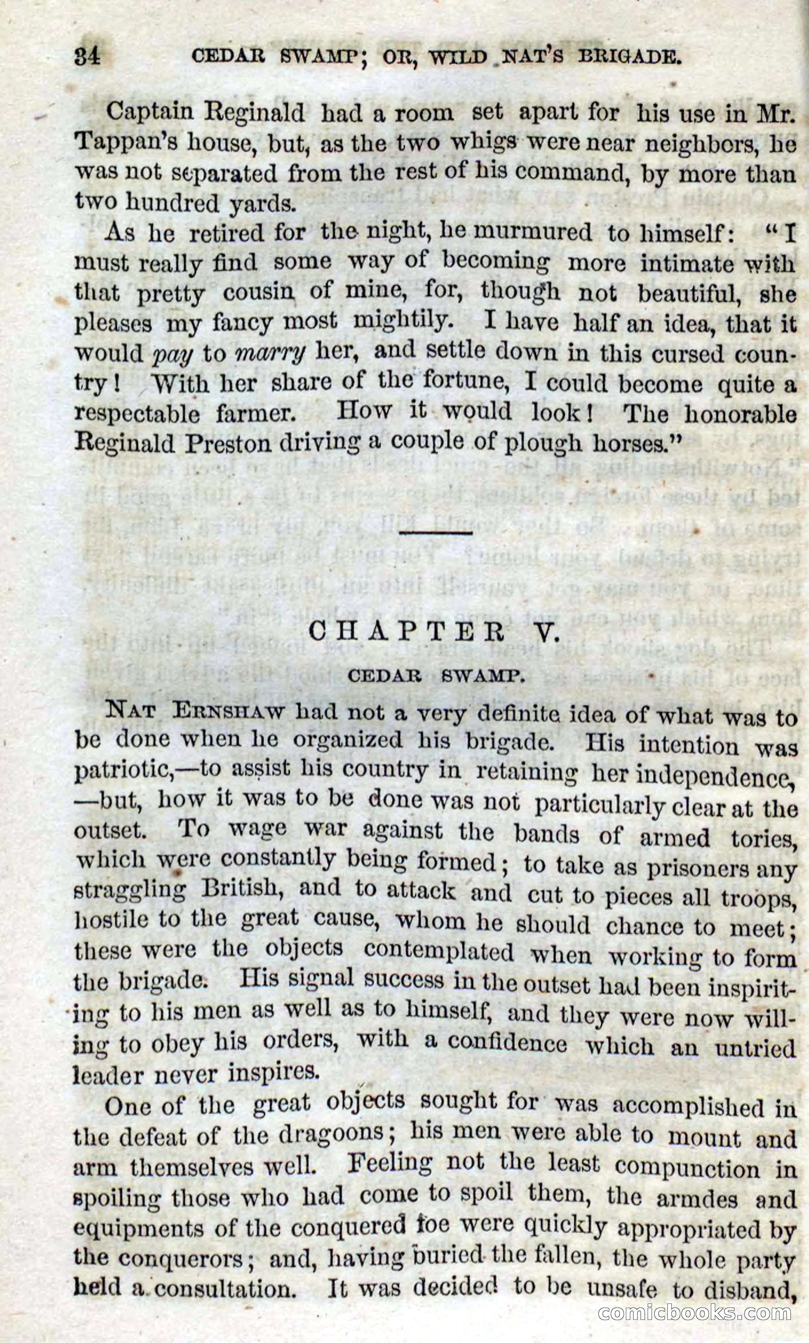 Beadle's Dime Novels No. 13 — page 32 of 108