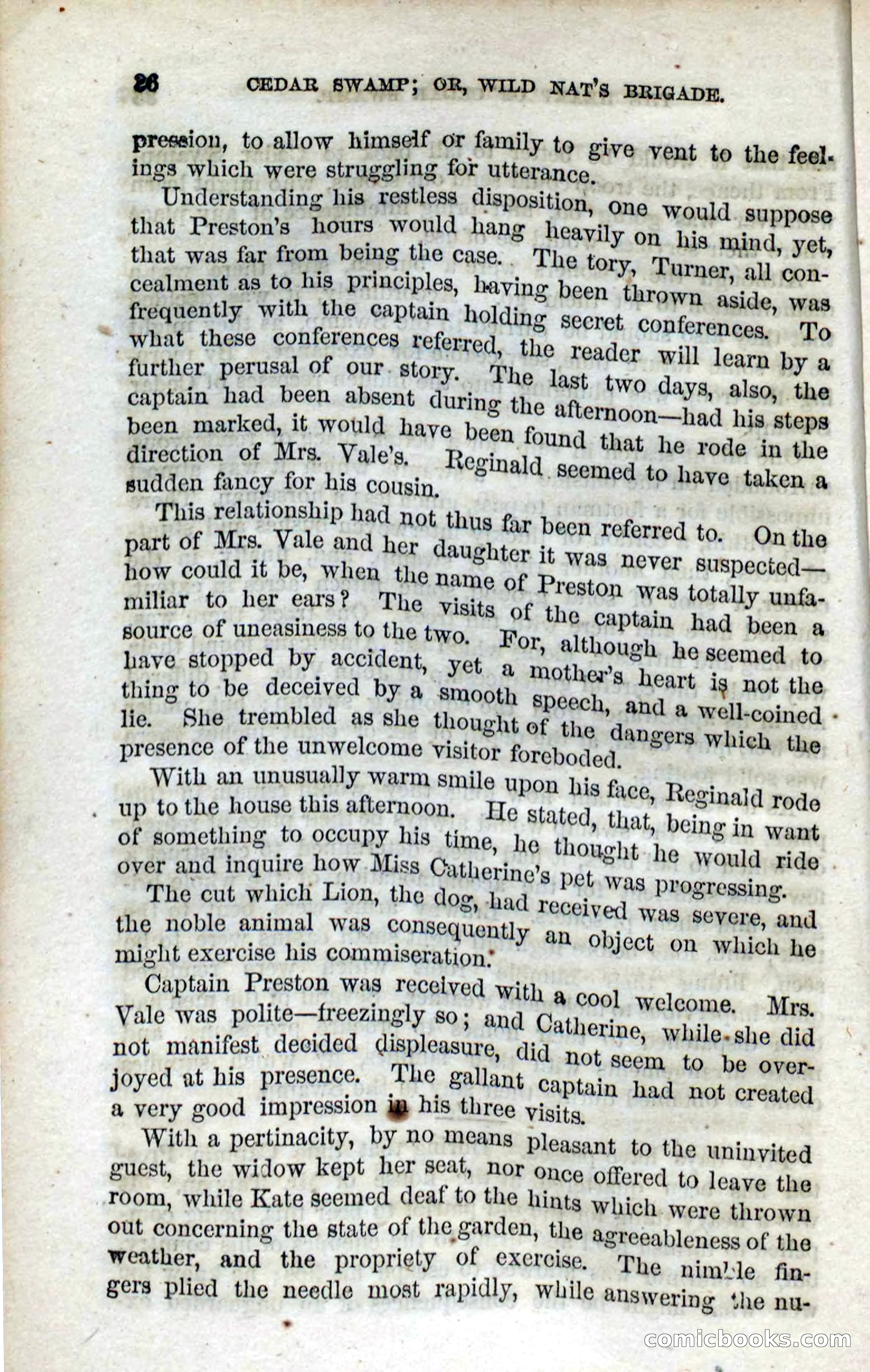 Beadle's Dime Novels No. 13 — page 34 of 108
