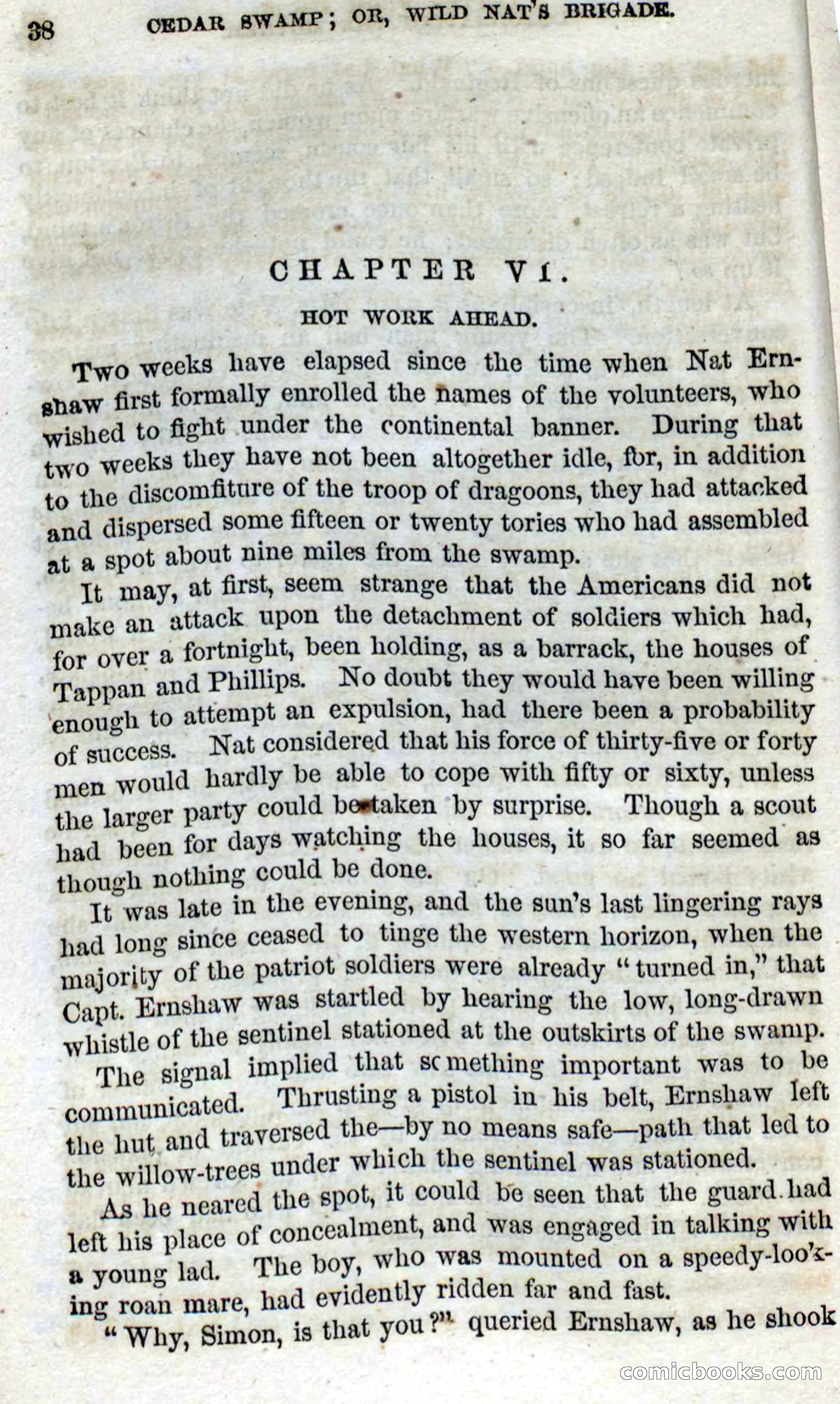 Beadle's Dime Novels No. 13 — page 36 of 108