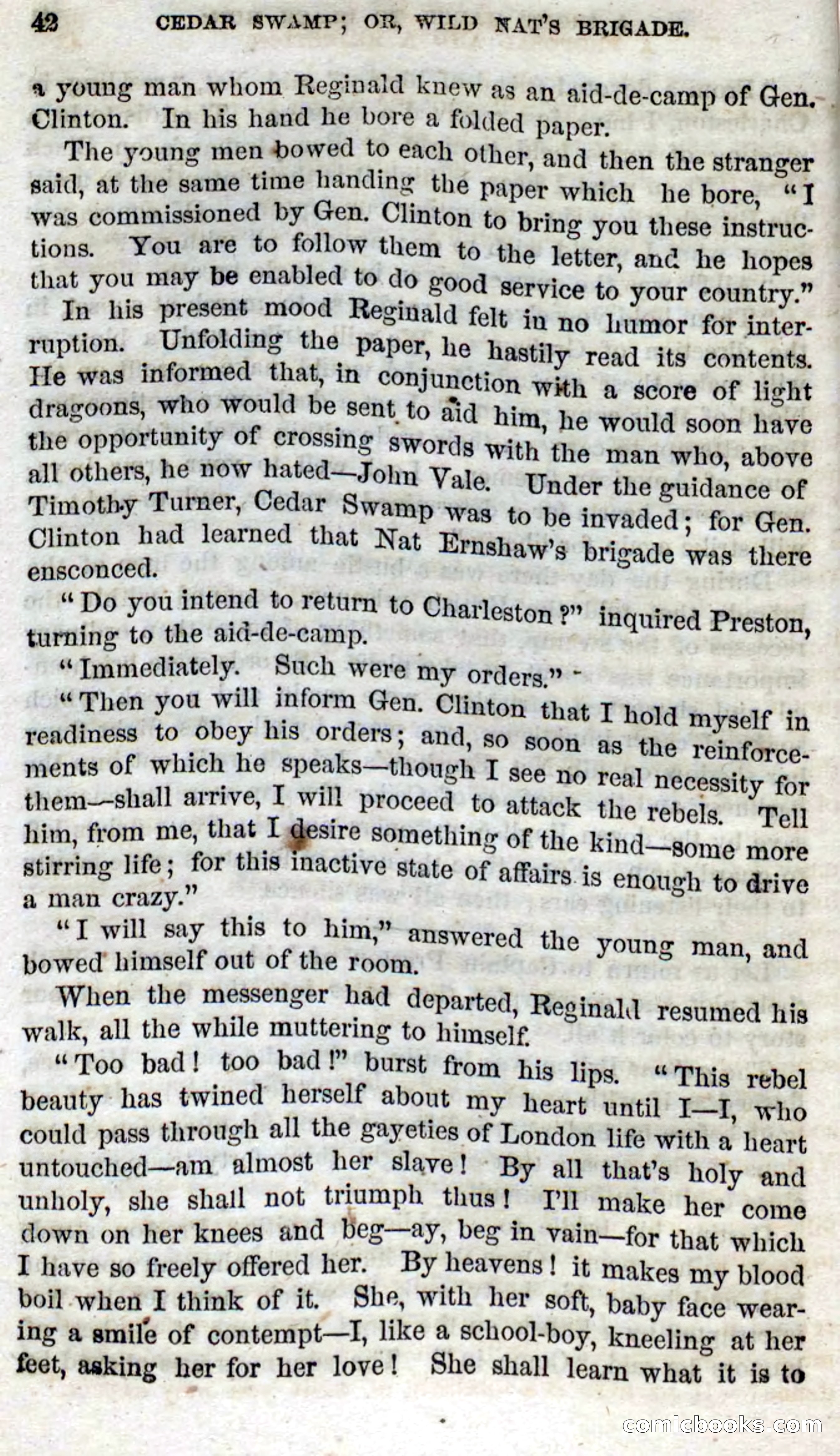 Beadle's Dime Novels No. 13 — page 40 of 108