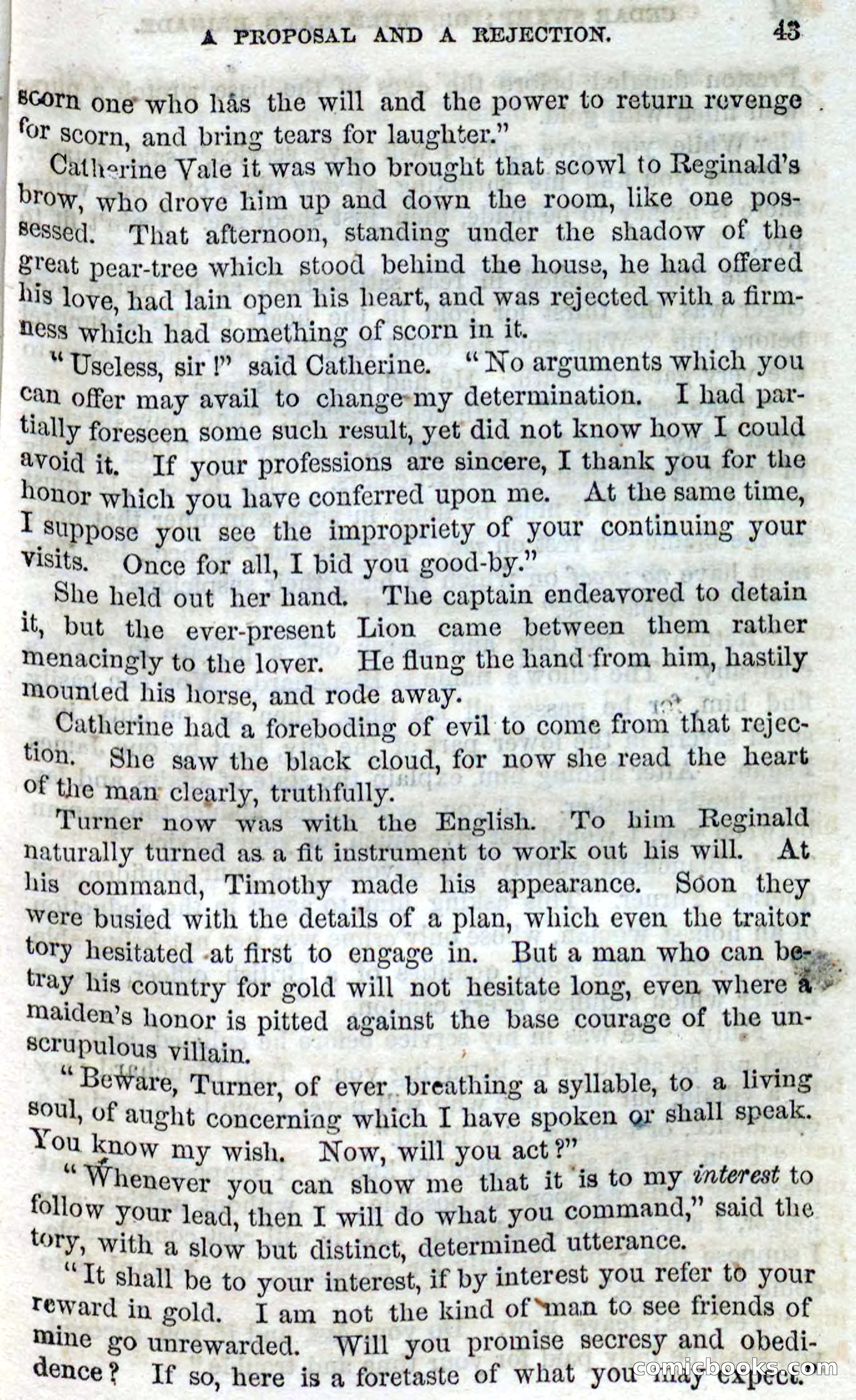 Beadle's Dime Novels No. 13 — page 41 of 108