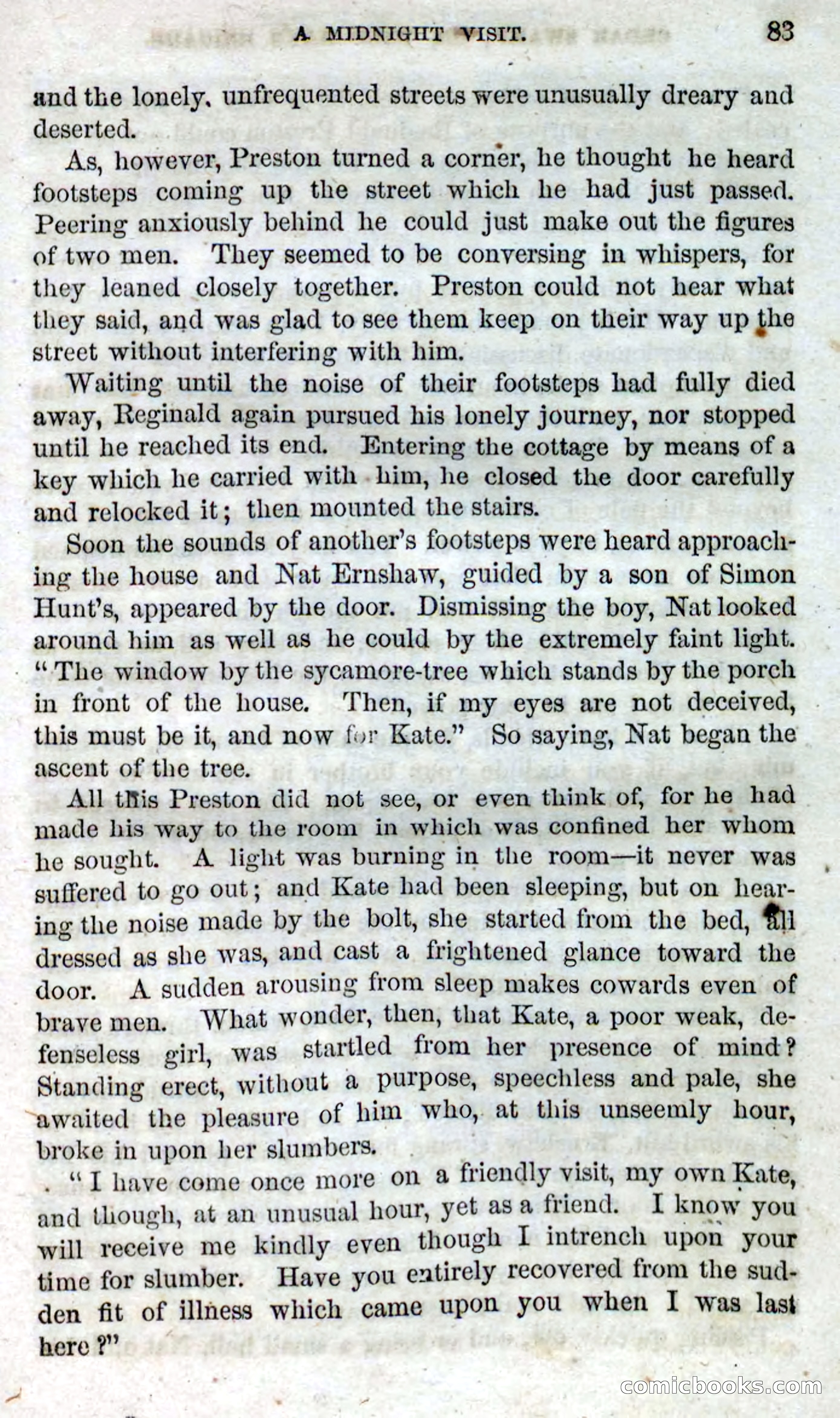Beadle's Dime Novels No. 13 — page 81 of 108
