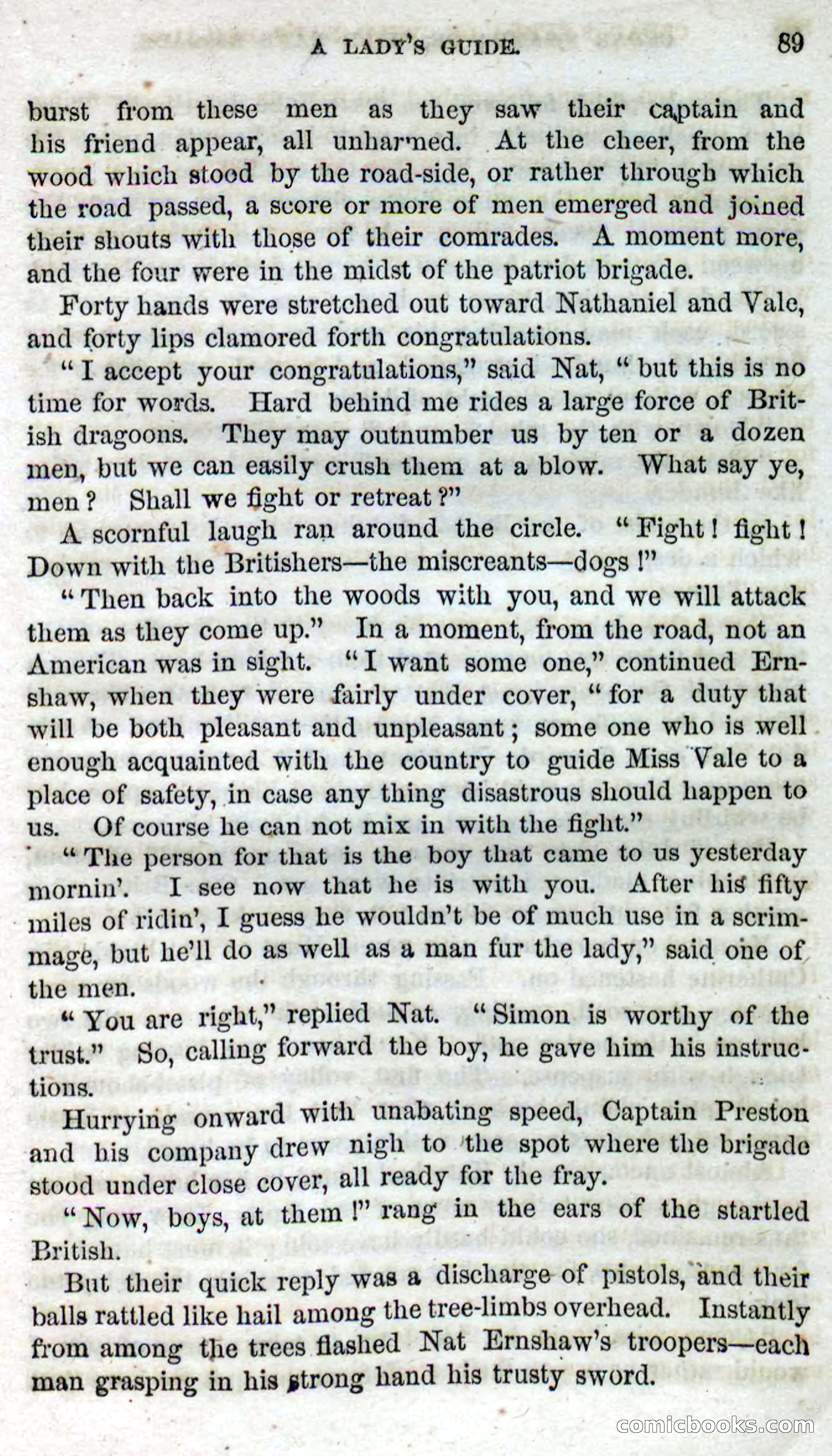 Beadle's Dime Novels No. 13 — page 87 of 108