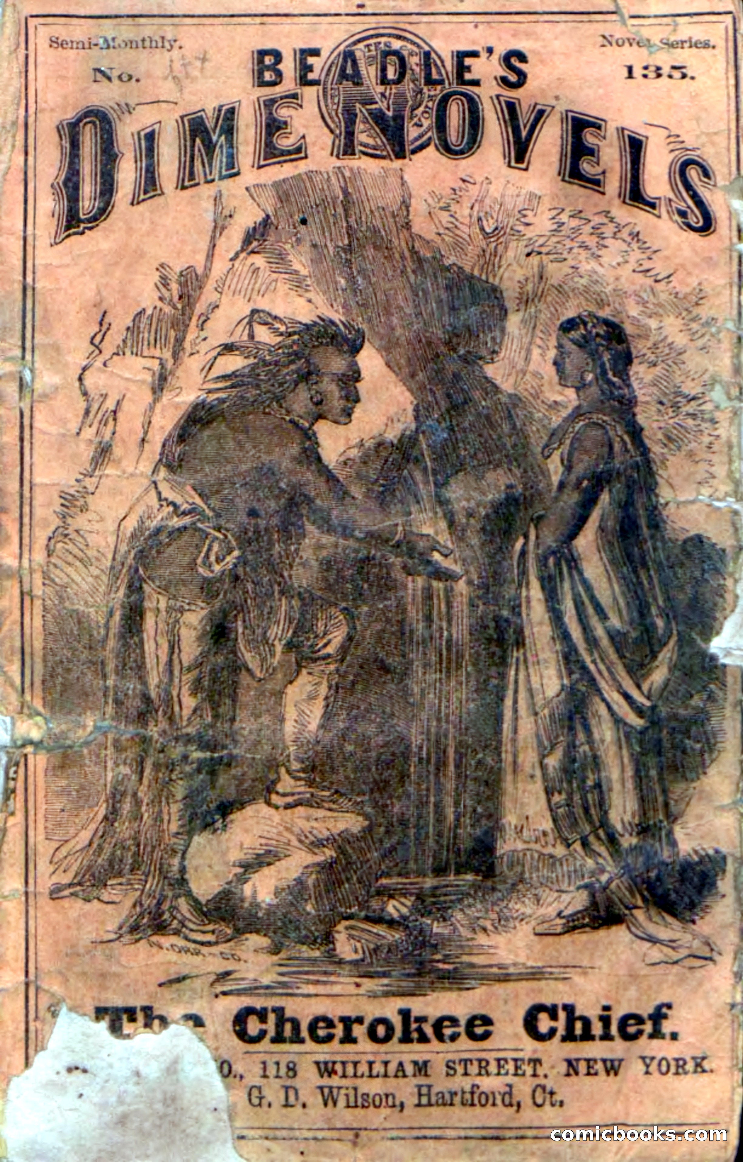 Beadle's Dime Novels No. 135: The Cherokee Chief