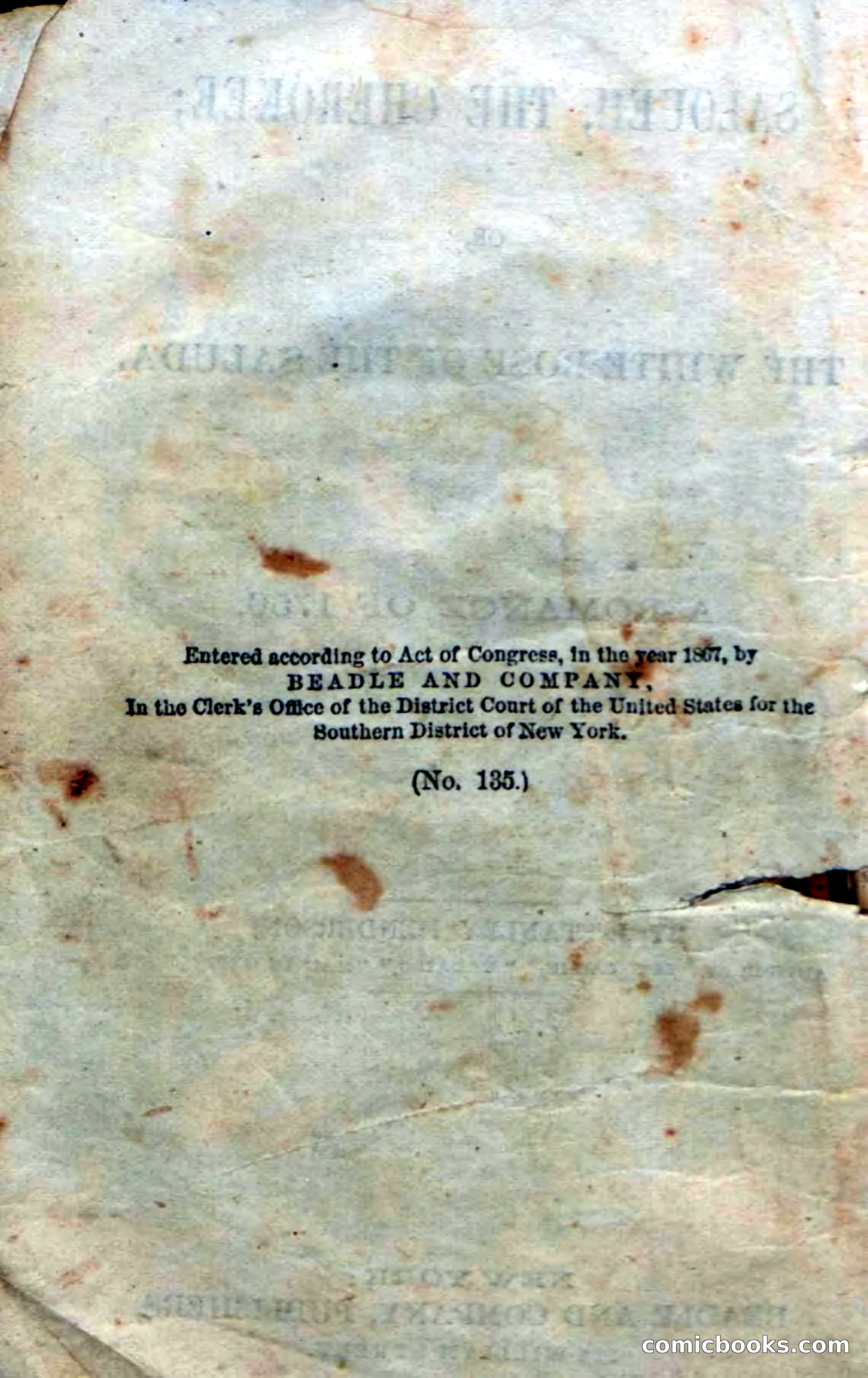 Beadle's Dime Novels No. 135: The Cherokee Chief — page 6 of 92