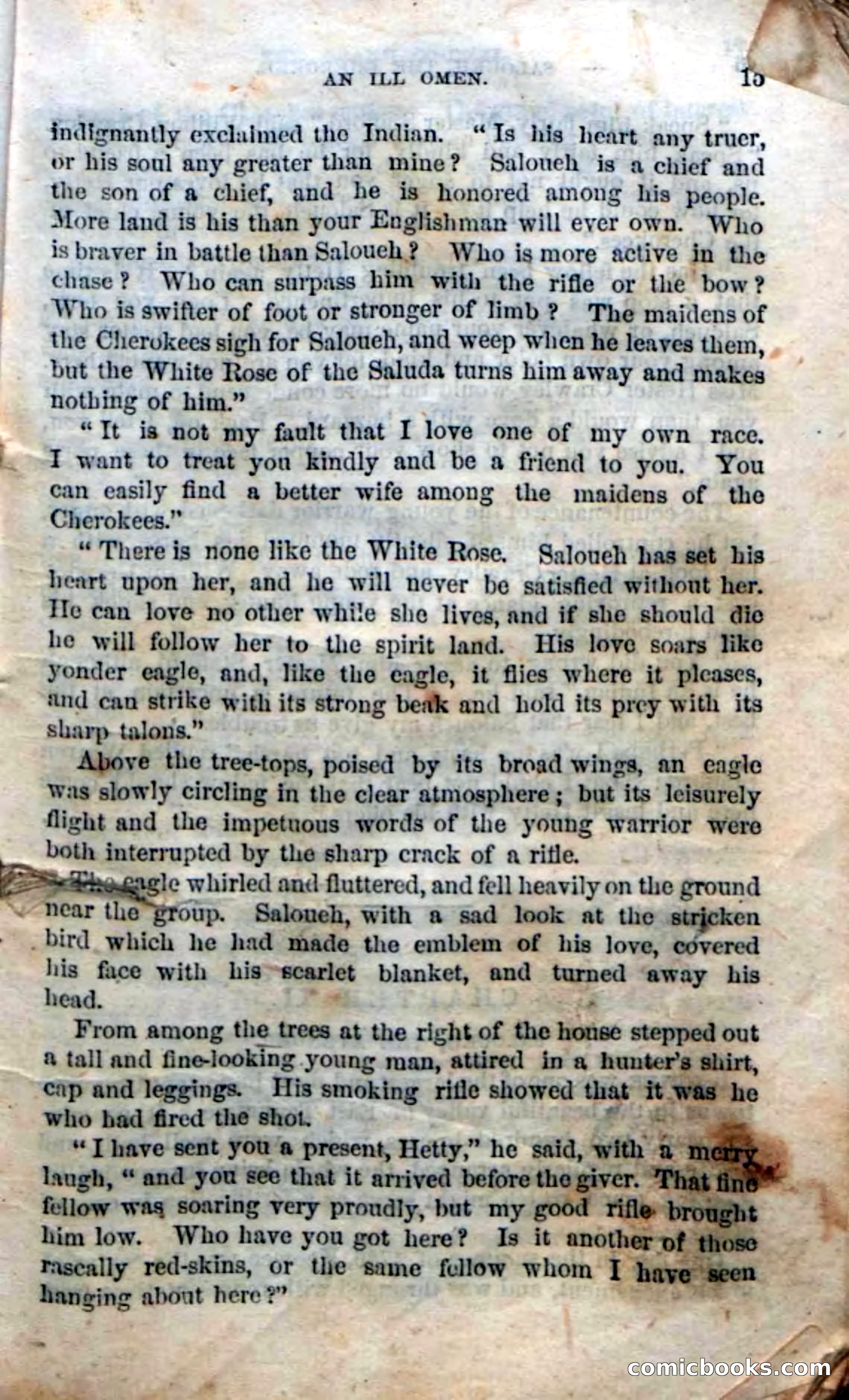 Beadle's Dime Novels No. 135: The Cherokee Chief — page 13 of 92