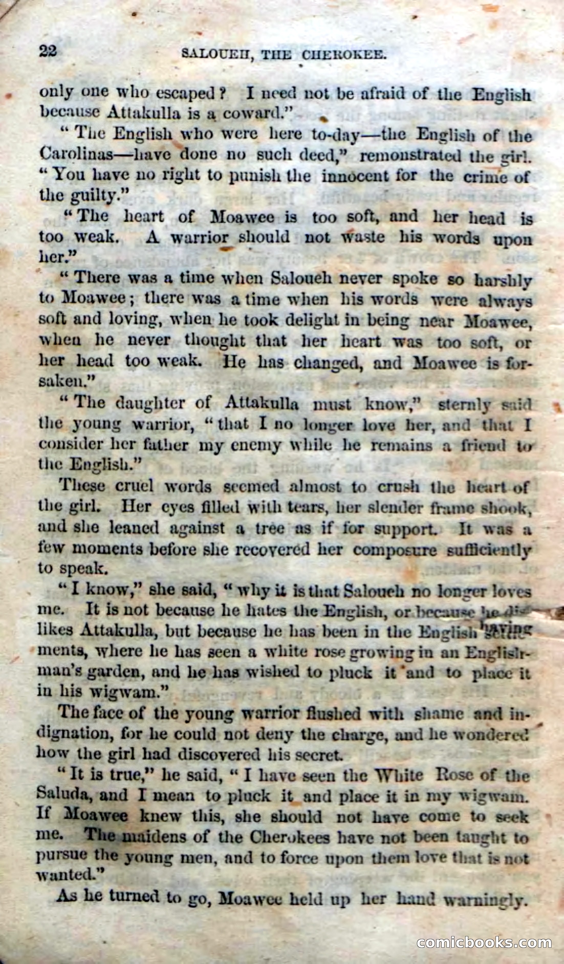 Beadle's Dime Novels No. 135: The Cherokee Chief — page 20 of 92