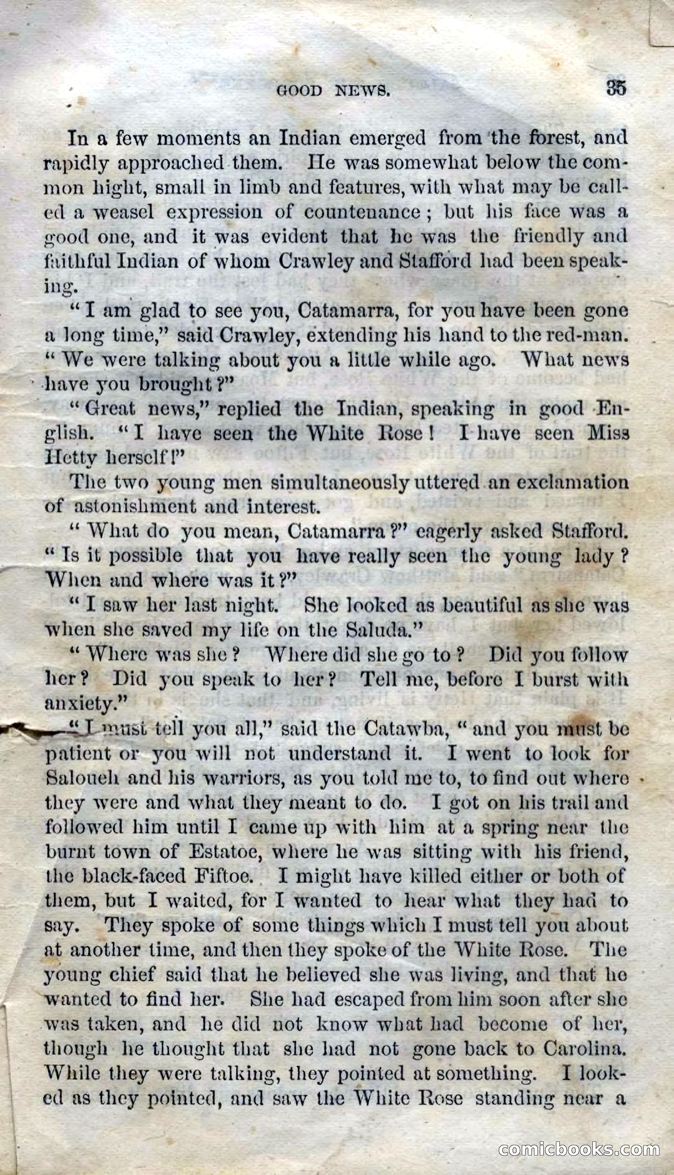 Beadle's Dime Novels No. 135: The Cherokee Chief — page 33 of 92