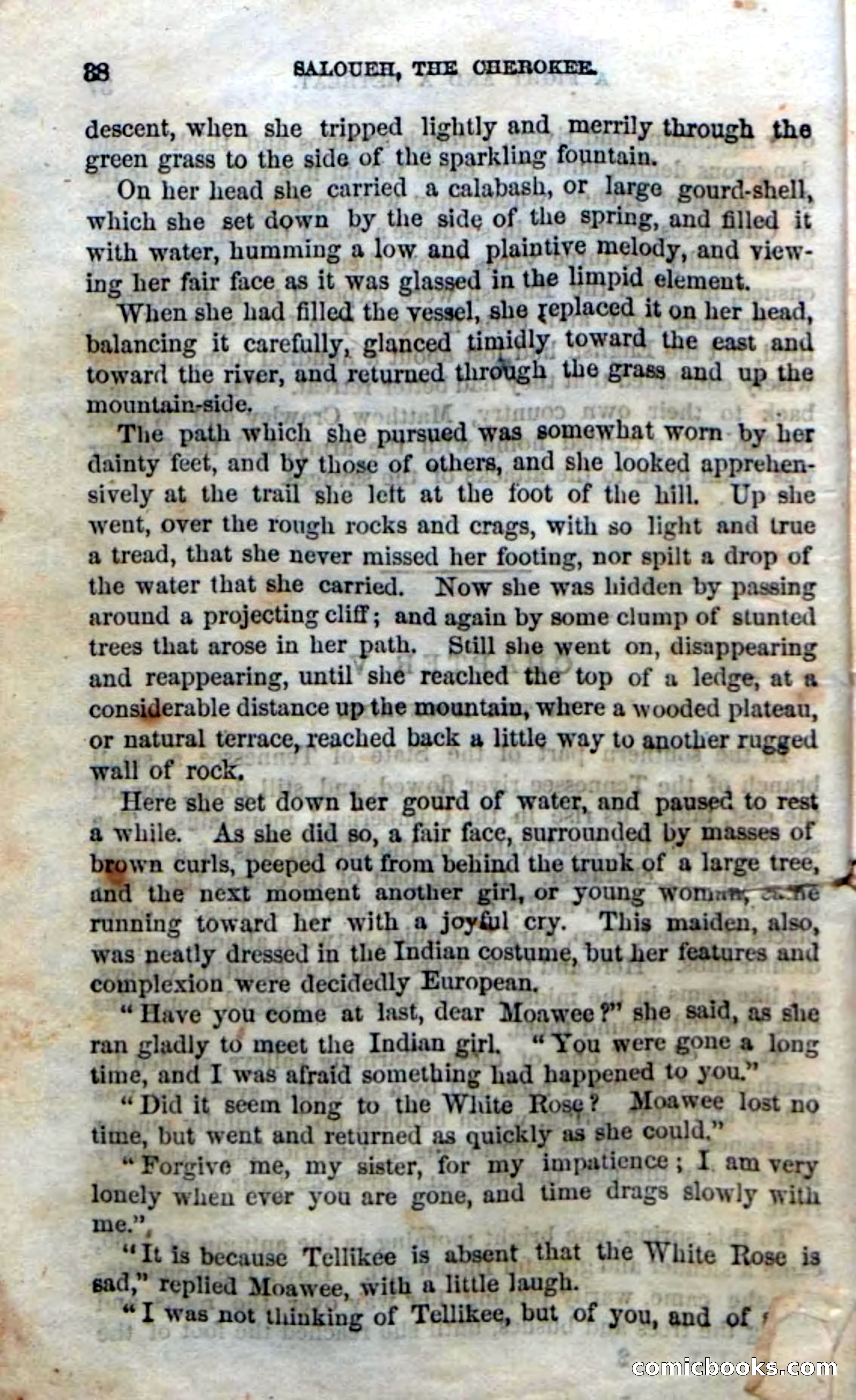 Beadle's Dime Novels No. 135: The Cherokee Chief — page 36 of 92