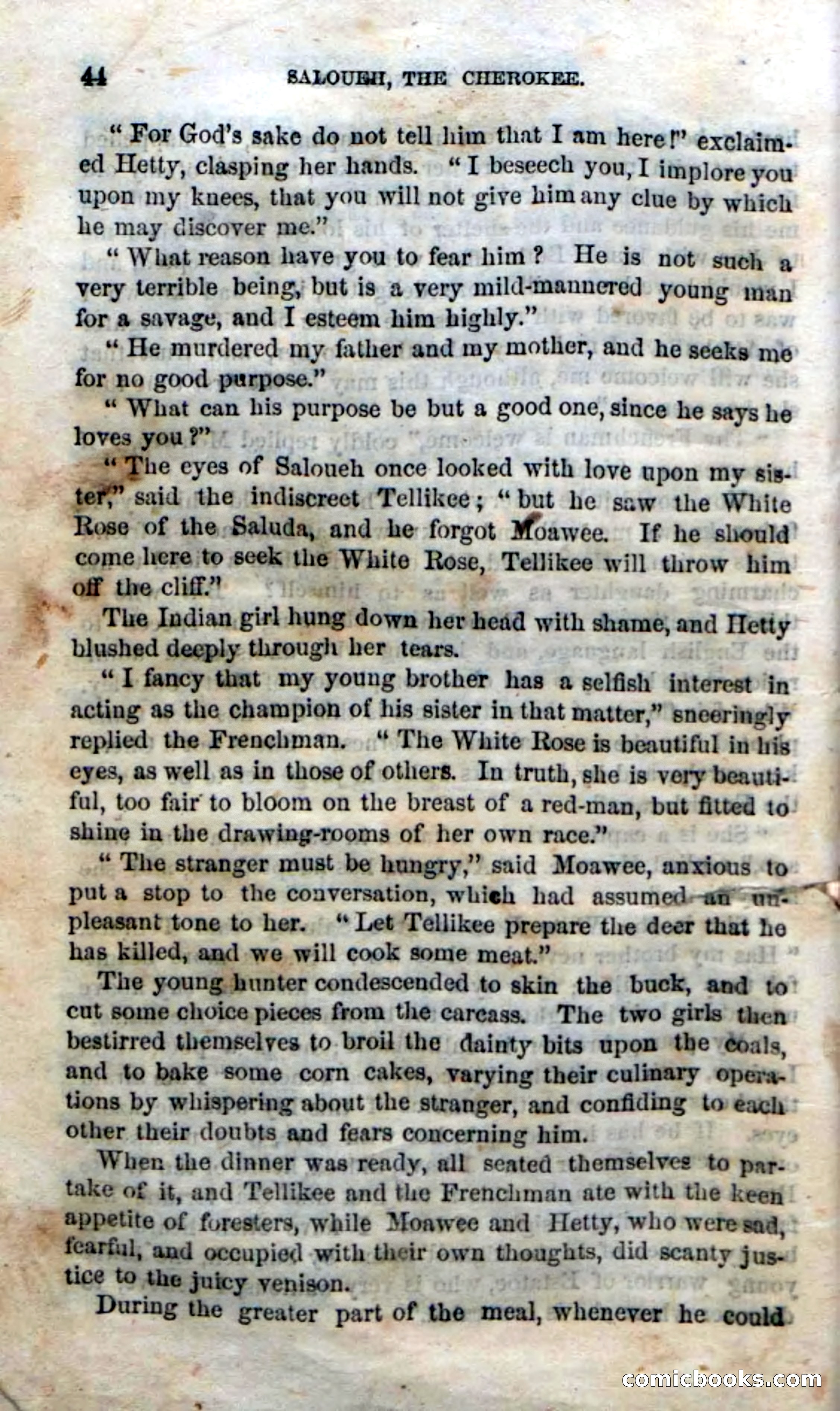 Beadle's Dime Novels No. 135: The Cherokee Chief — page 42 of 92