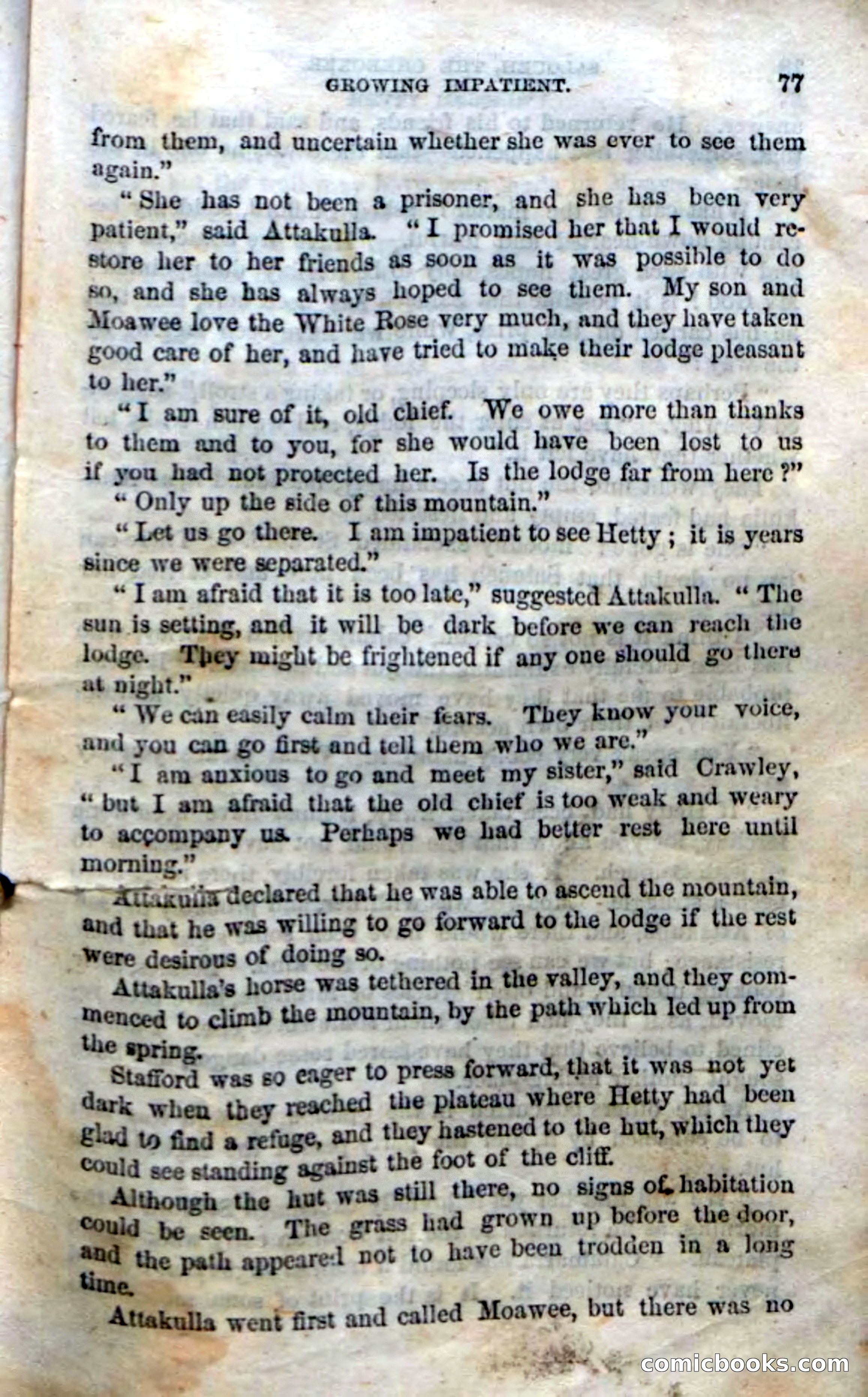 Beadle's Dime Novels No. 135: The Cherokee Chief — page 75 of 92