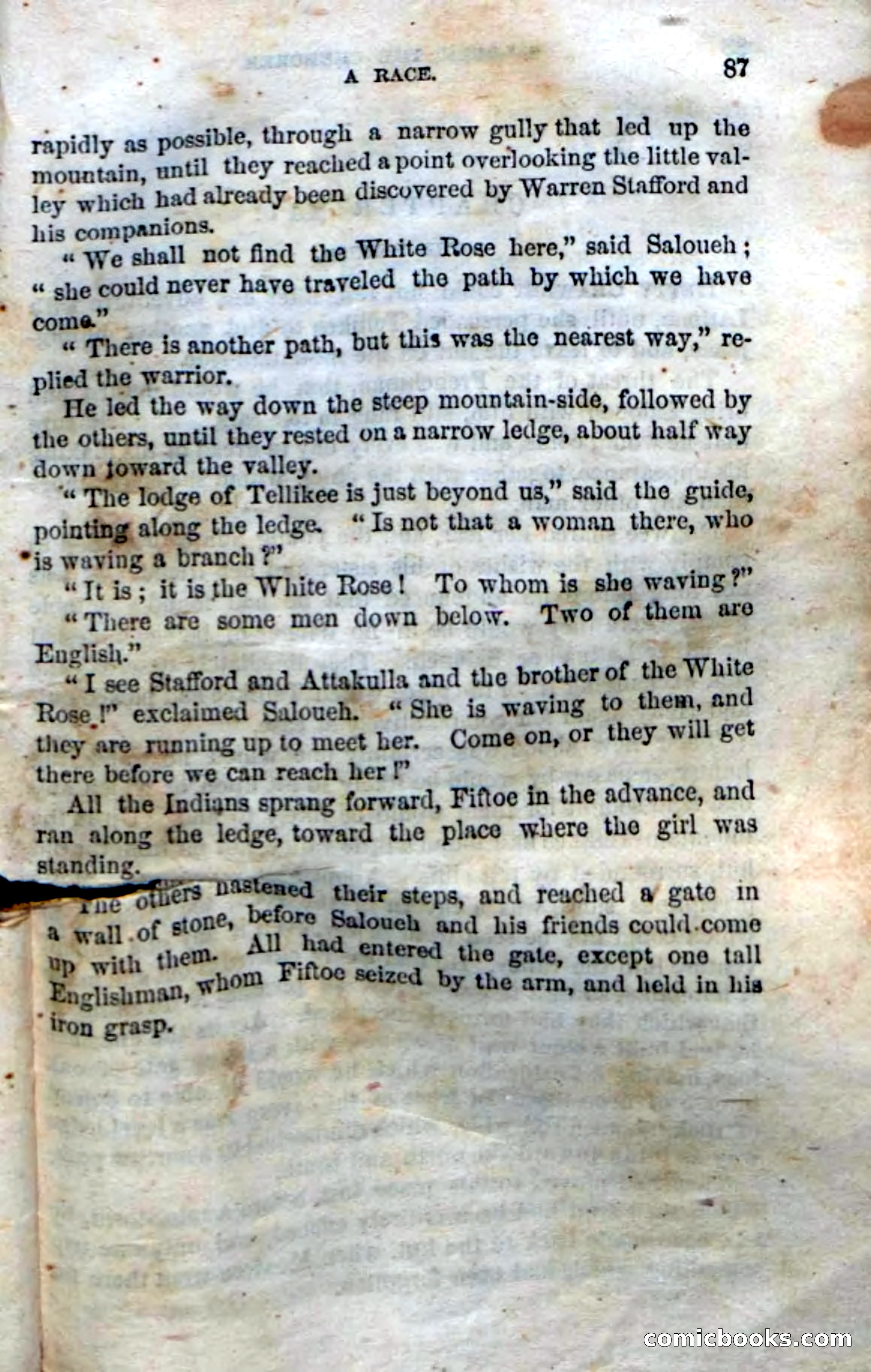 Beadle's Dime Novels No. 135: The Cherokee Chief — page 85 of 92