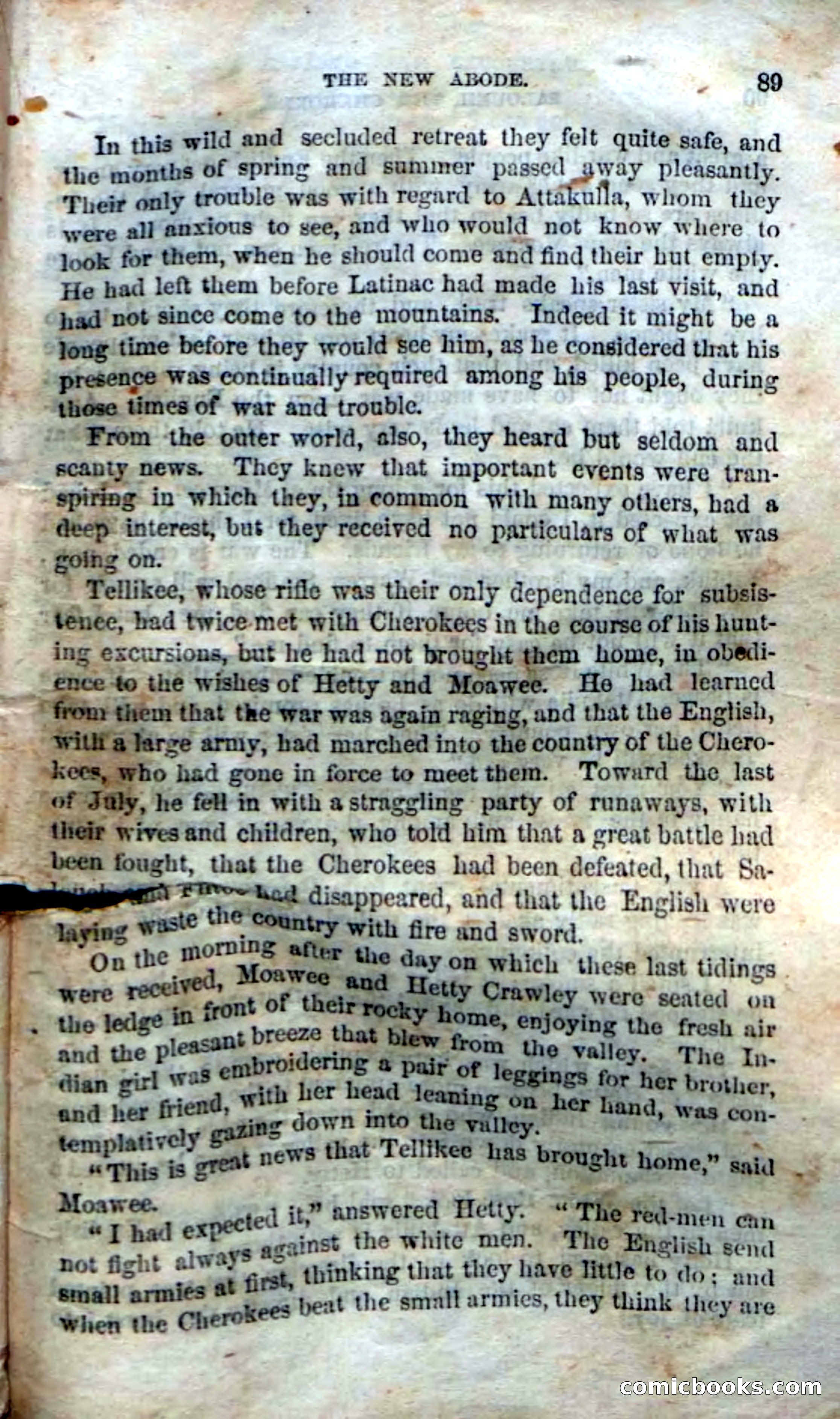 Beadle's Dime Novels No. 135: The Cherokee Chief — page 87 of 92