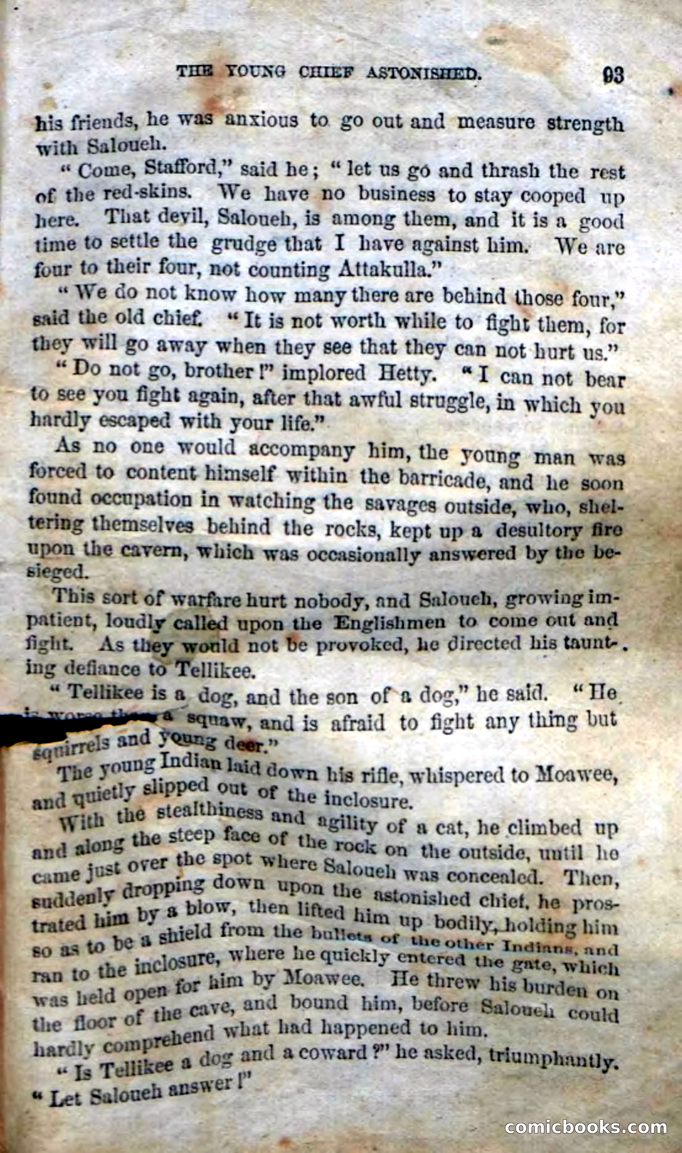 Beadle's Dime Novels No. 135: The Cherokee Chief — page 91 of 92
