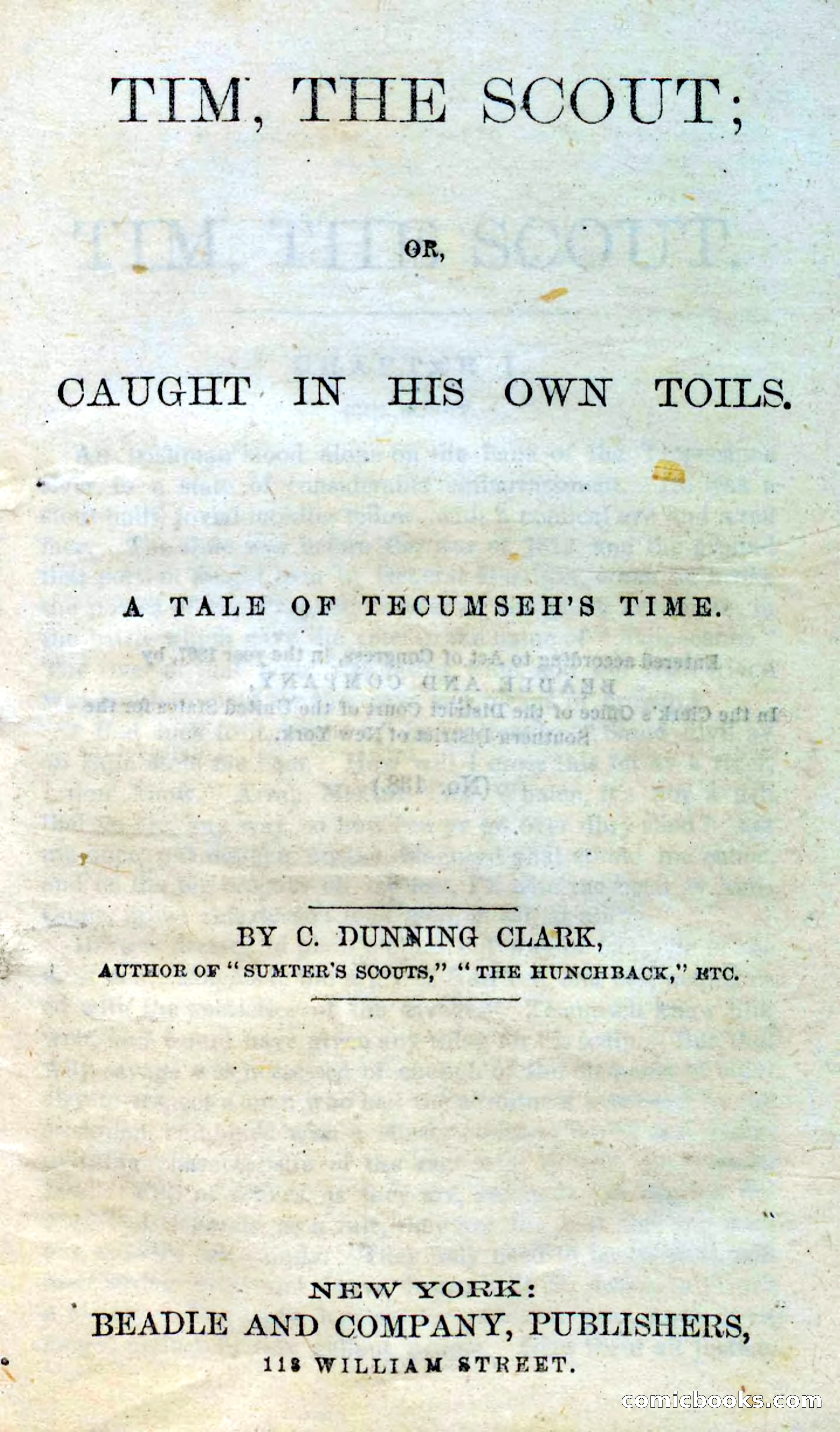 Beadle's Dime Novels No. 138: Tim, the Scout — page 5 of 100