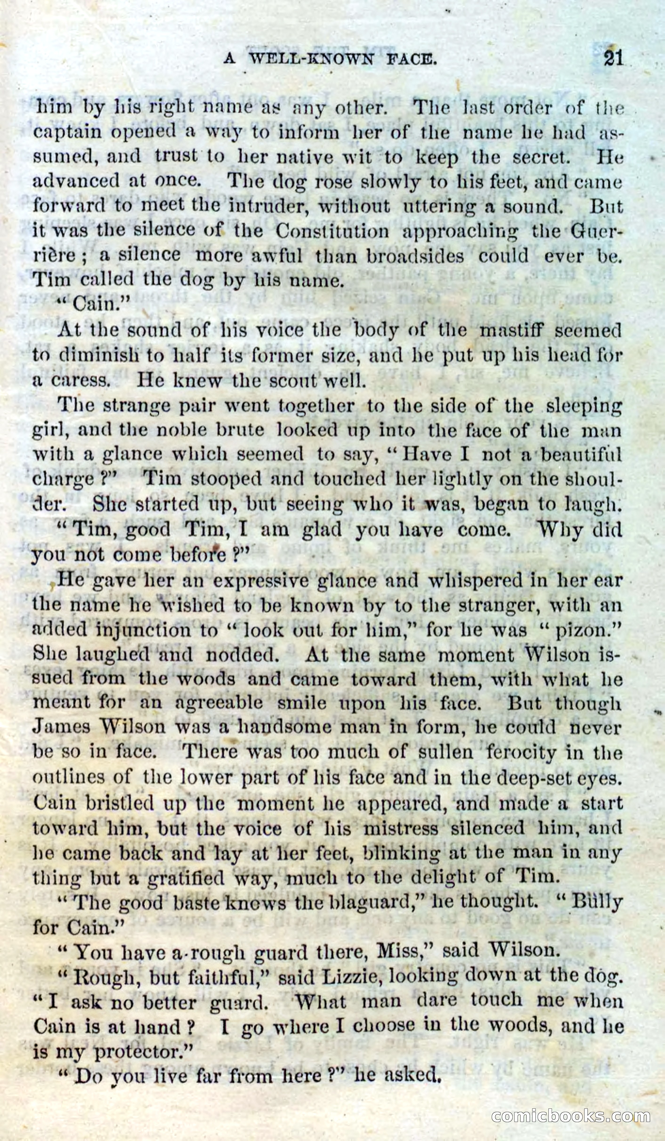 Beadle's Dime Novels No. 138: Tim, the Scout — page 19 of 100