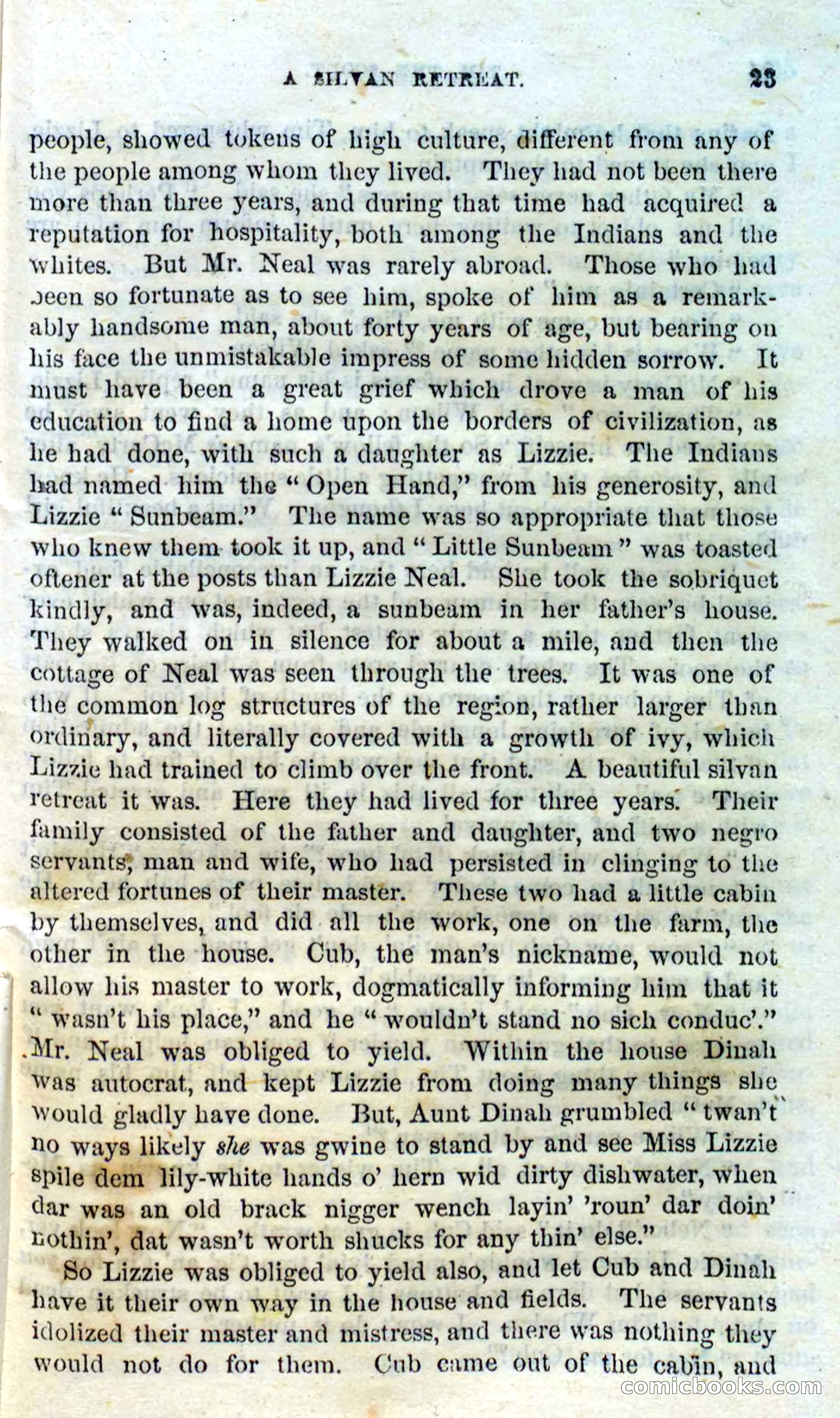 Beadle's Dime Novels No. 138: Tim, the Scout — page 21 of 100