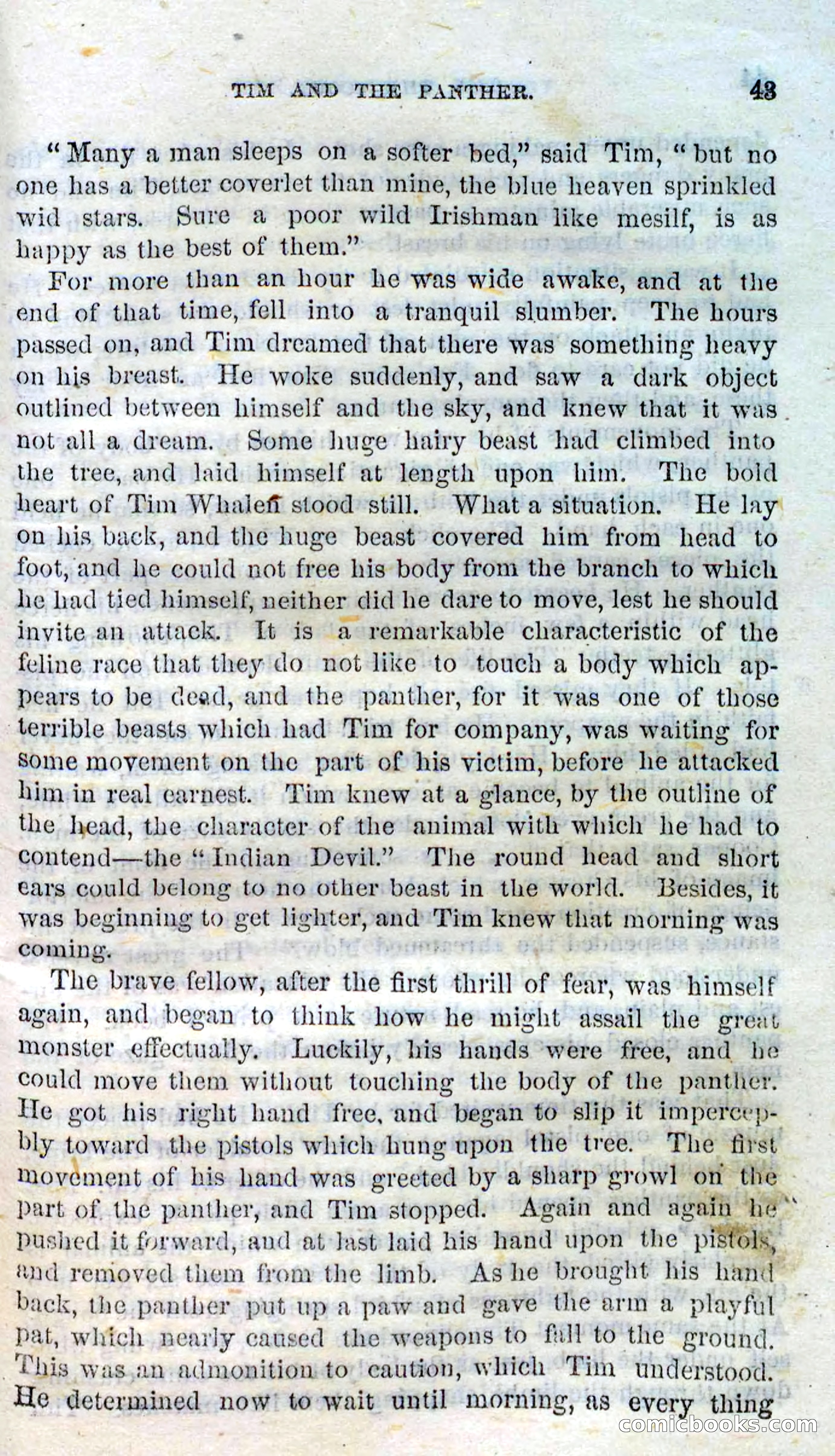 Beadle's Dime Novels No. 138: Tim, the Scout — page 41 of 100