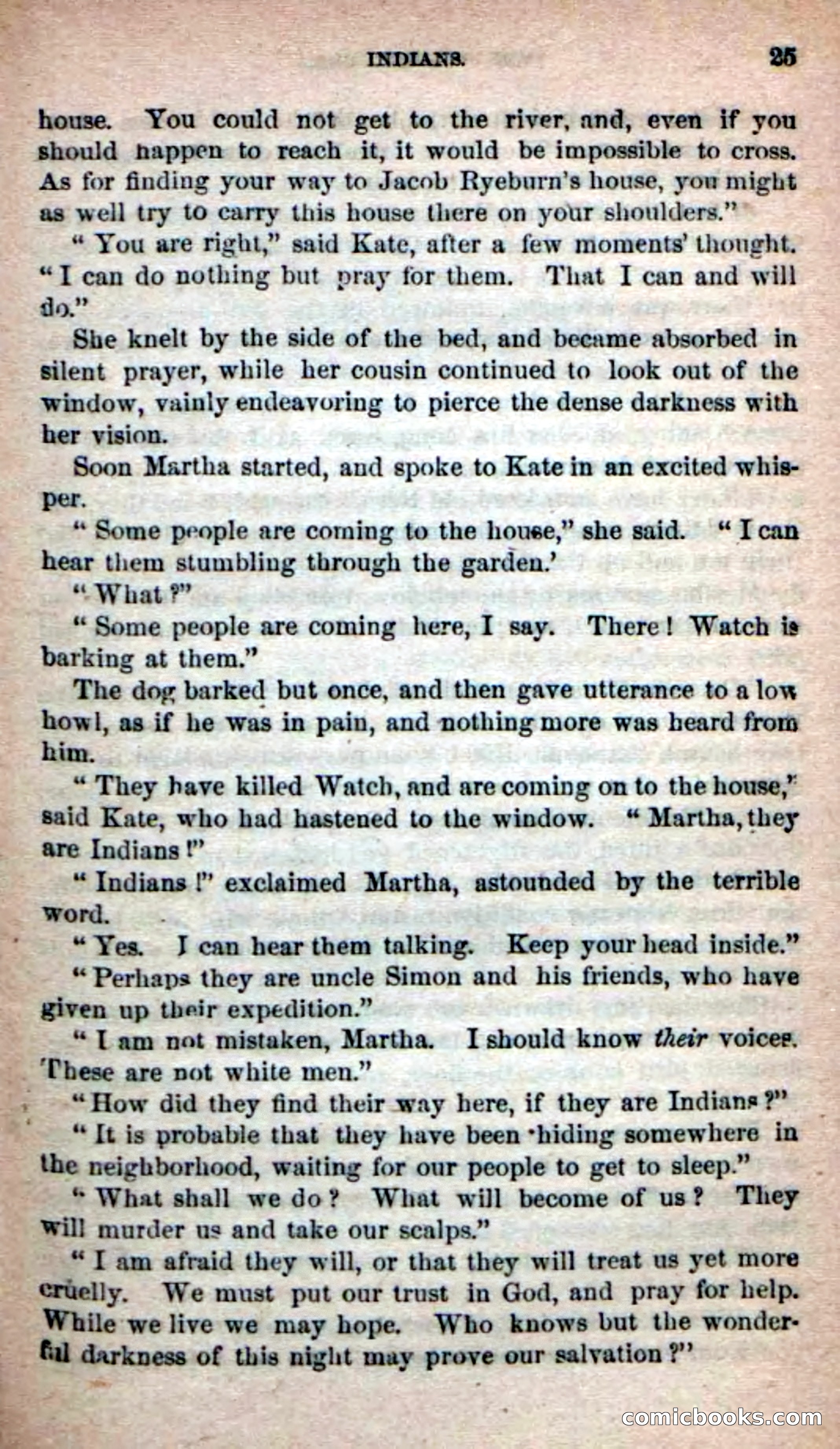 Beadle's Dime Novels No. 139: The Border Foes — page 23 of 100