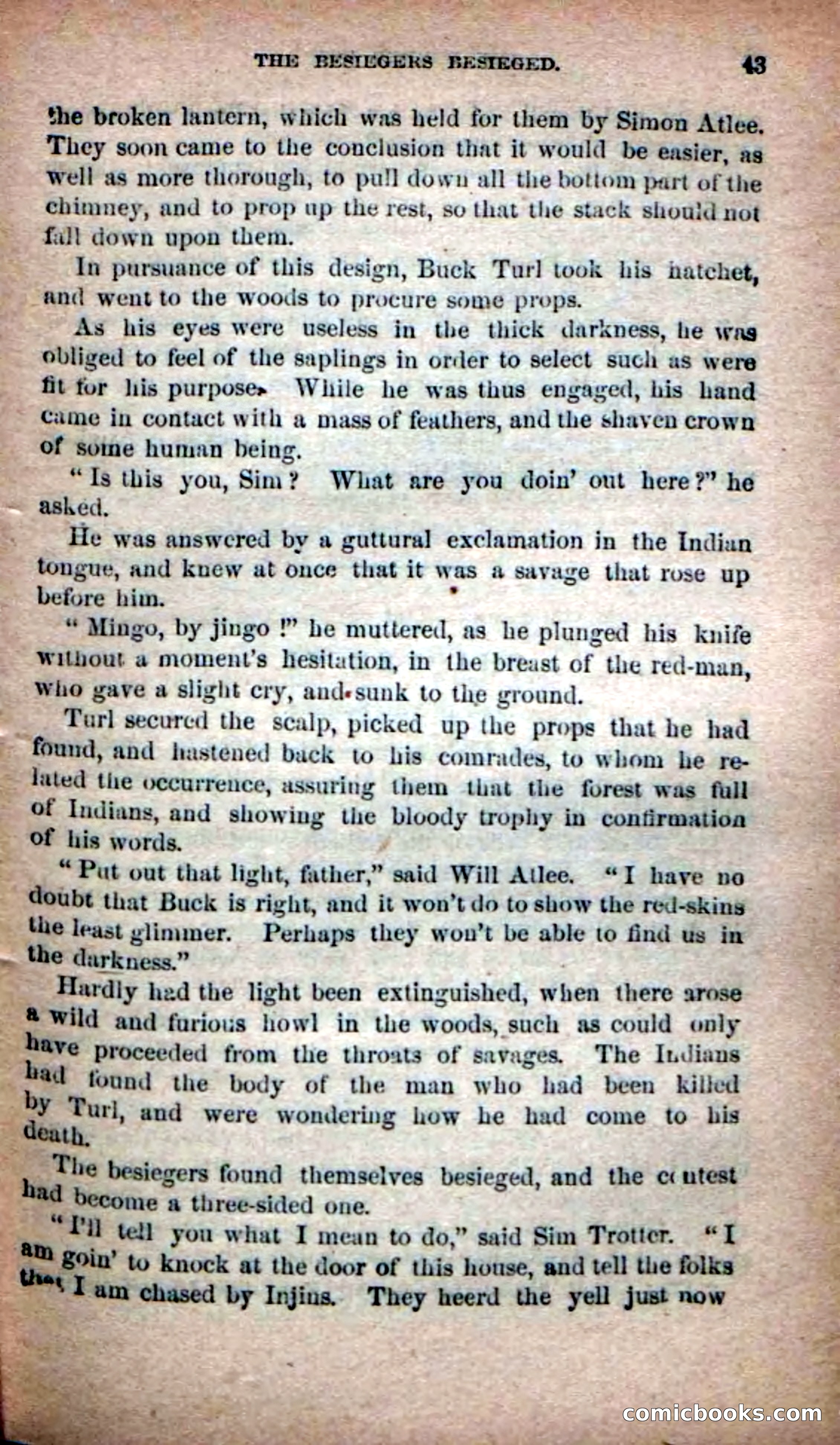Beadle's Dime Novels No. 139: The Border Foes — page 41 of 100