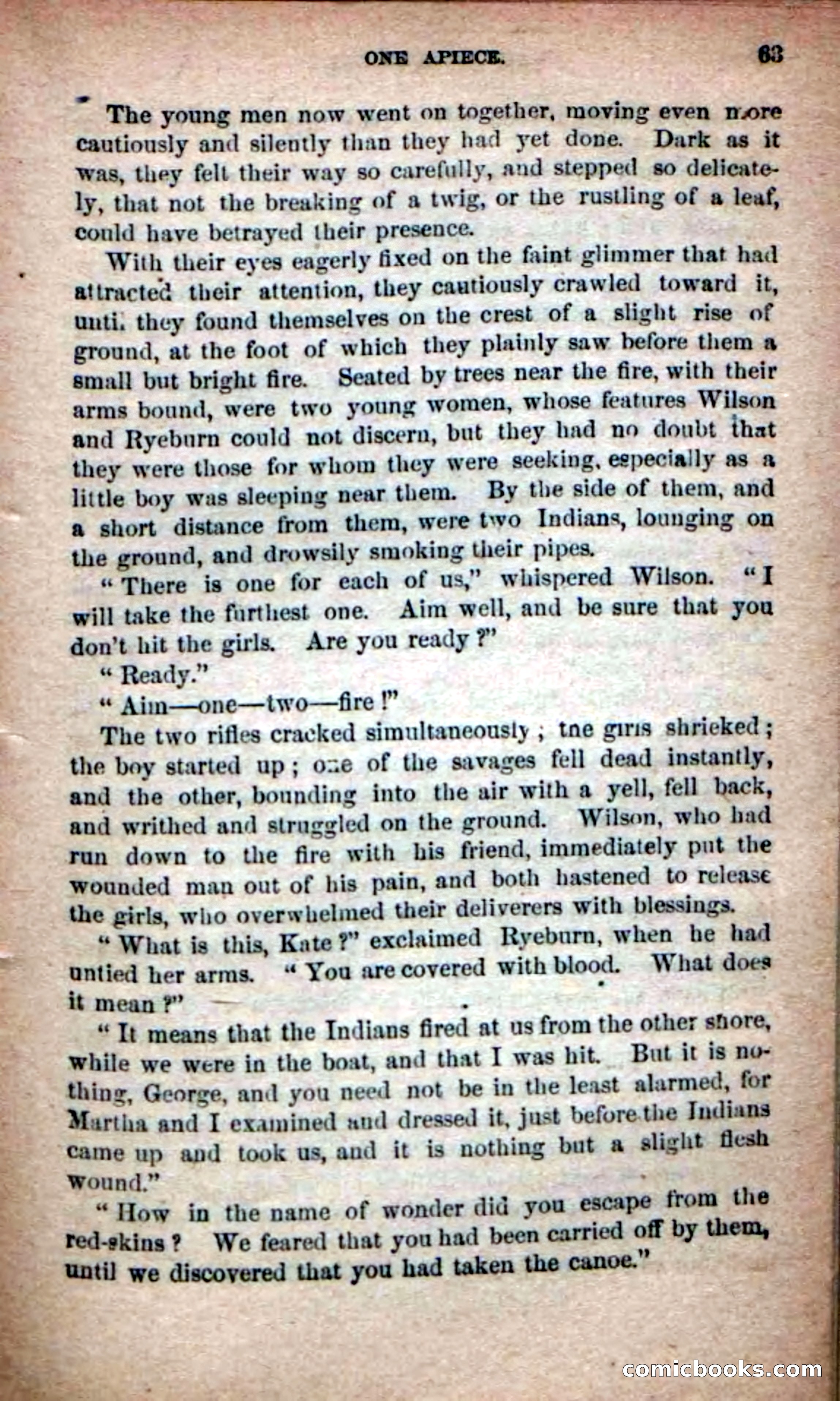 Beadle's Dime Novels No. 139: The Border Foes — page 61 of 100