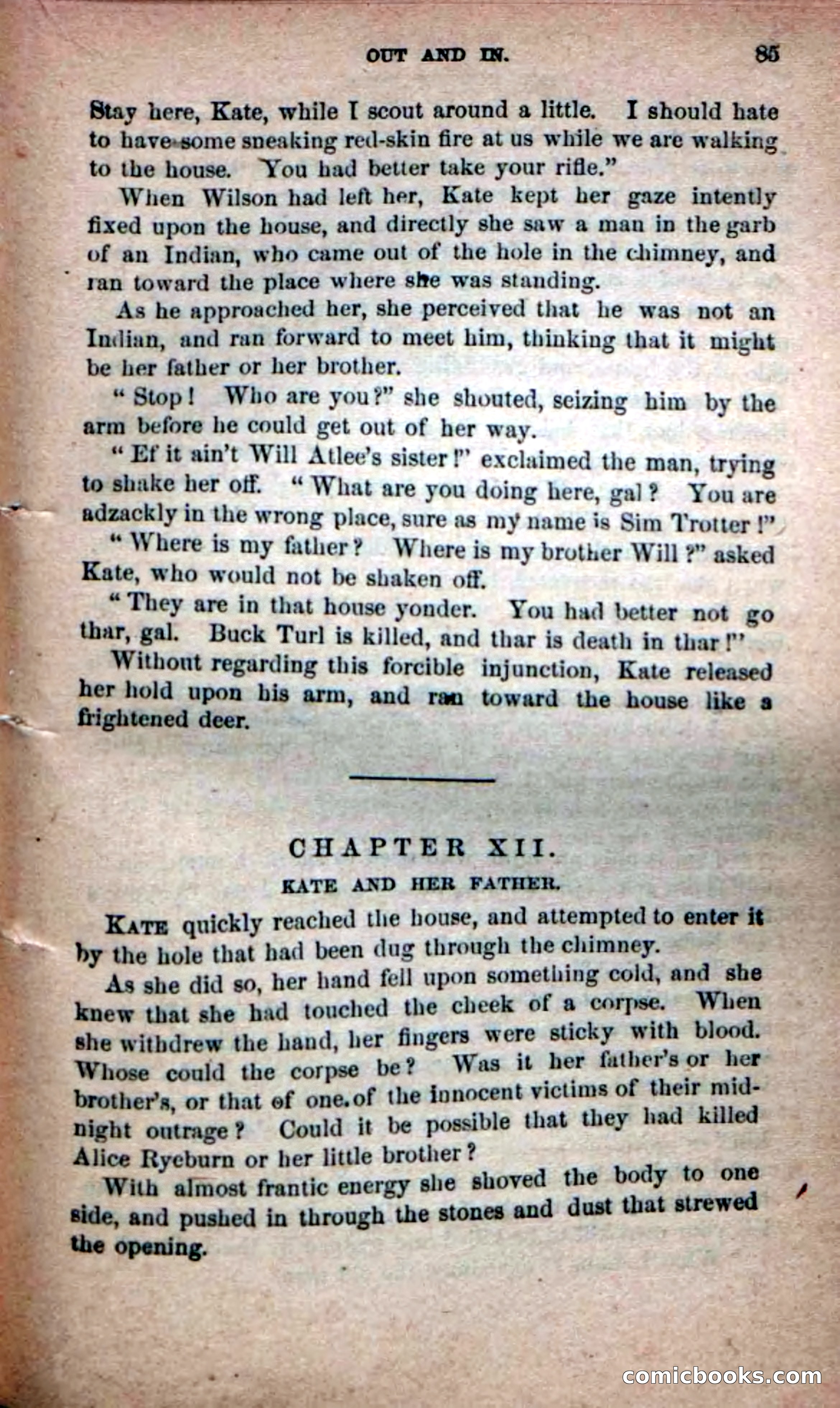 Beadle's Dime Novels No. 139: The Border Foes — page 83 of 100