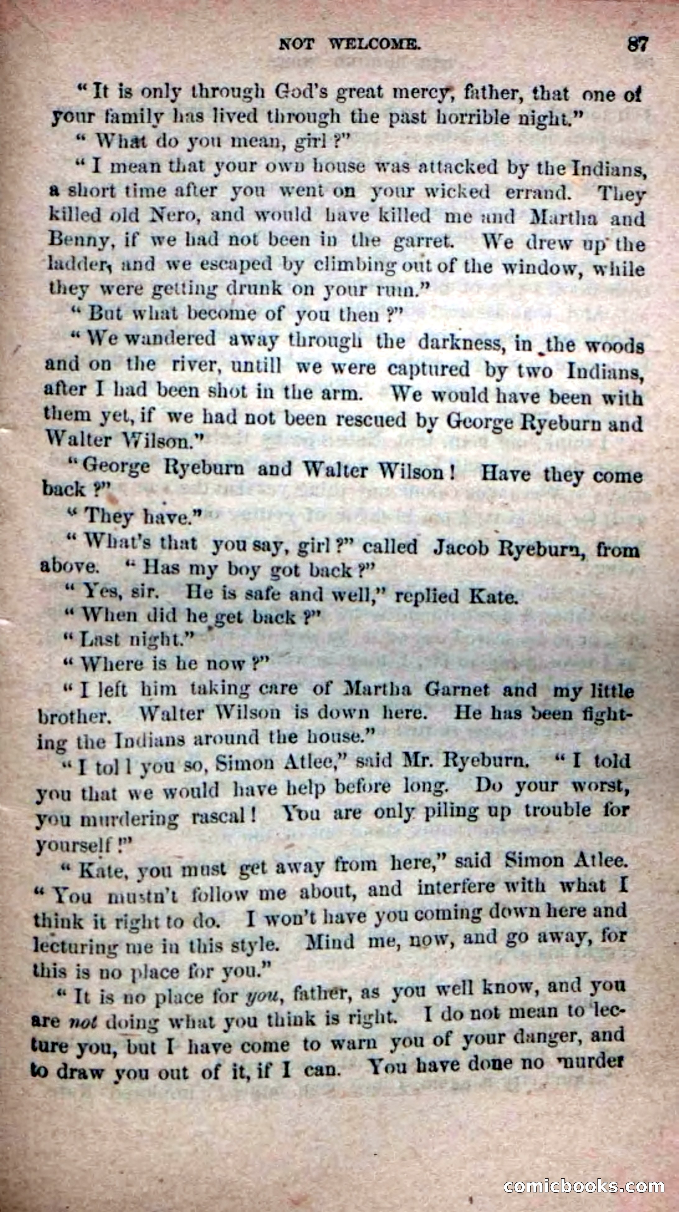 Beadle's Dime Novels No. 139: The Border Foes — page 85 of 100