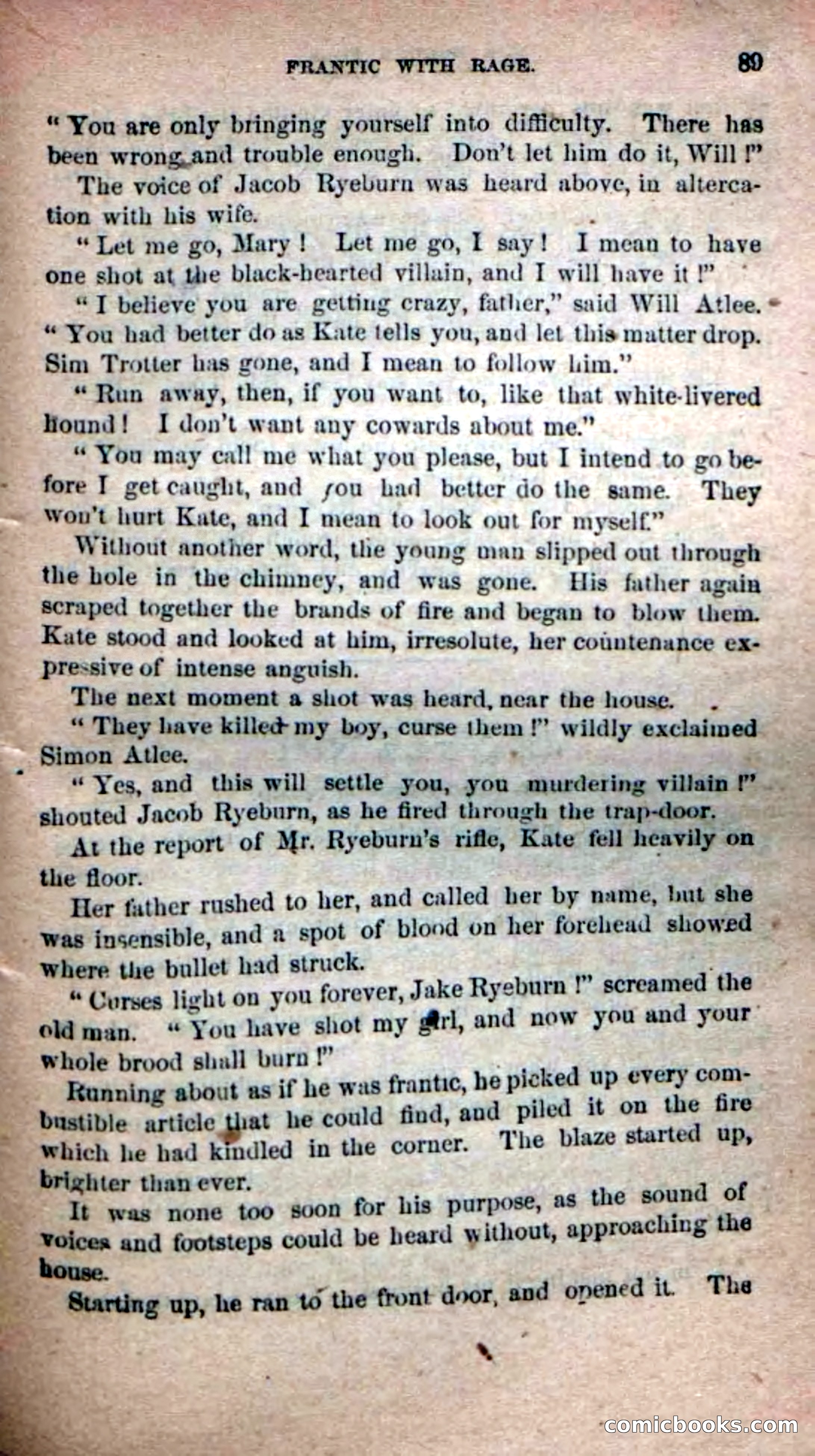 Beadle's Dime Novels No. 139: The Border Foes — page 87 of 100