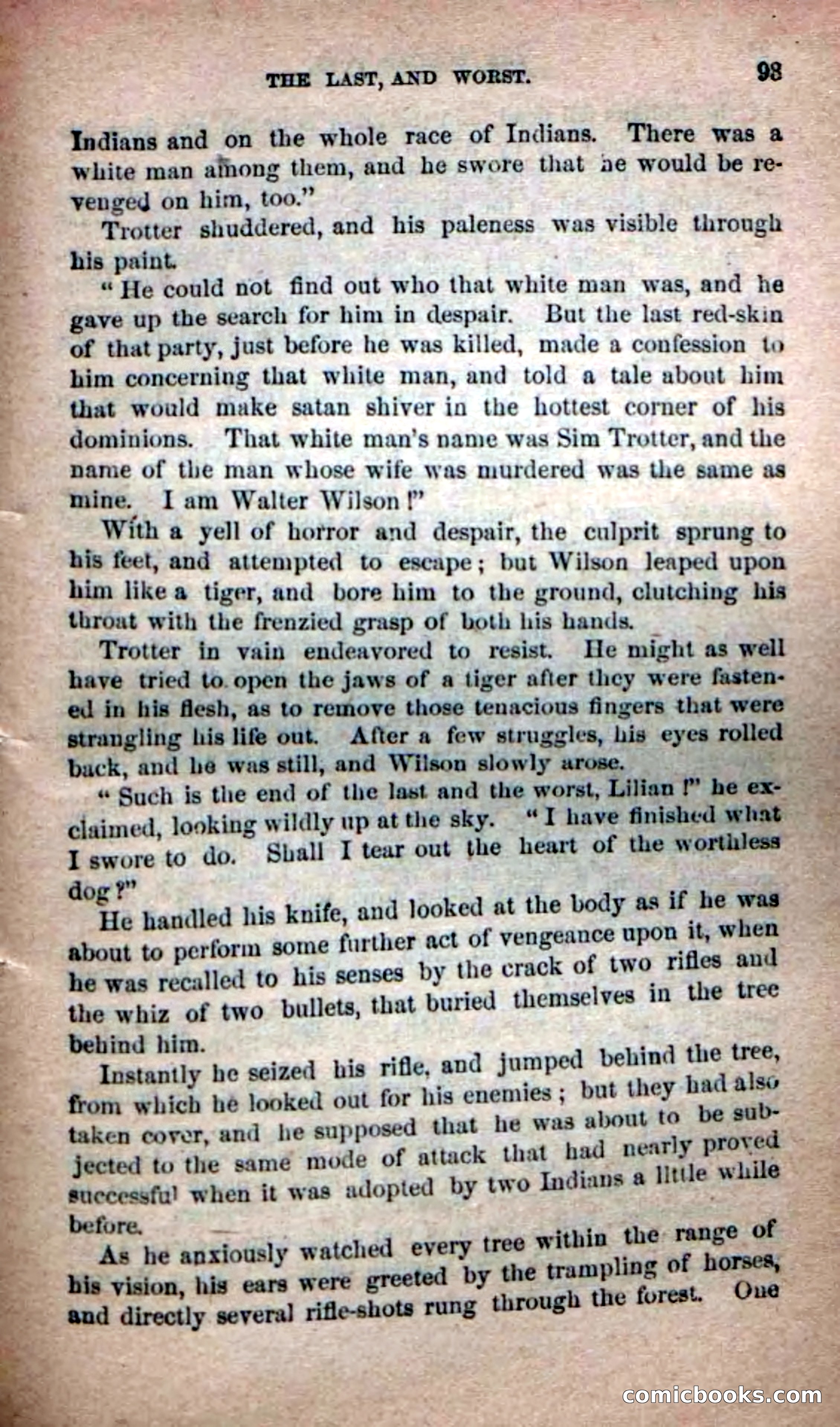 Beadle's Dime Novels No. 139: The Border Foes — page 91 of 100
