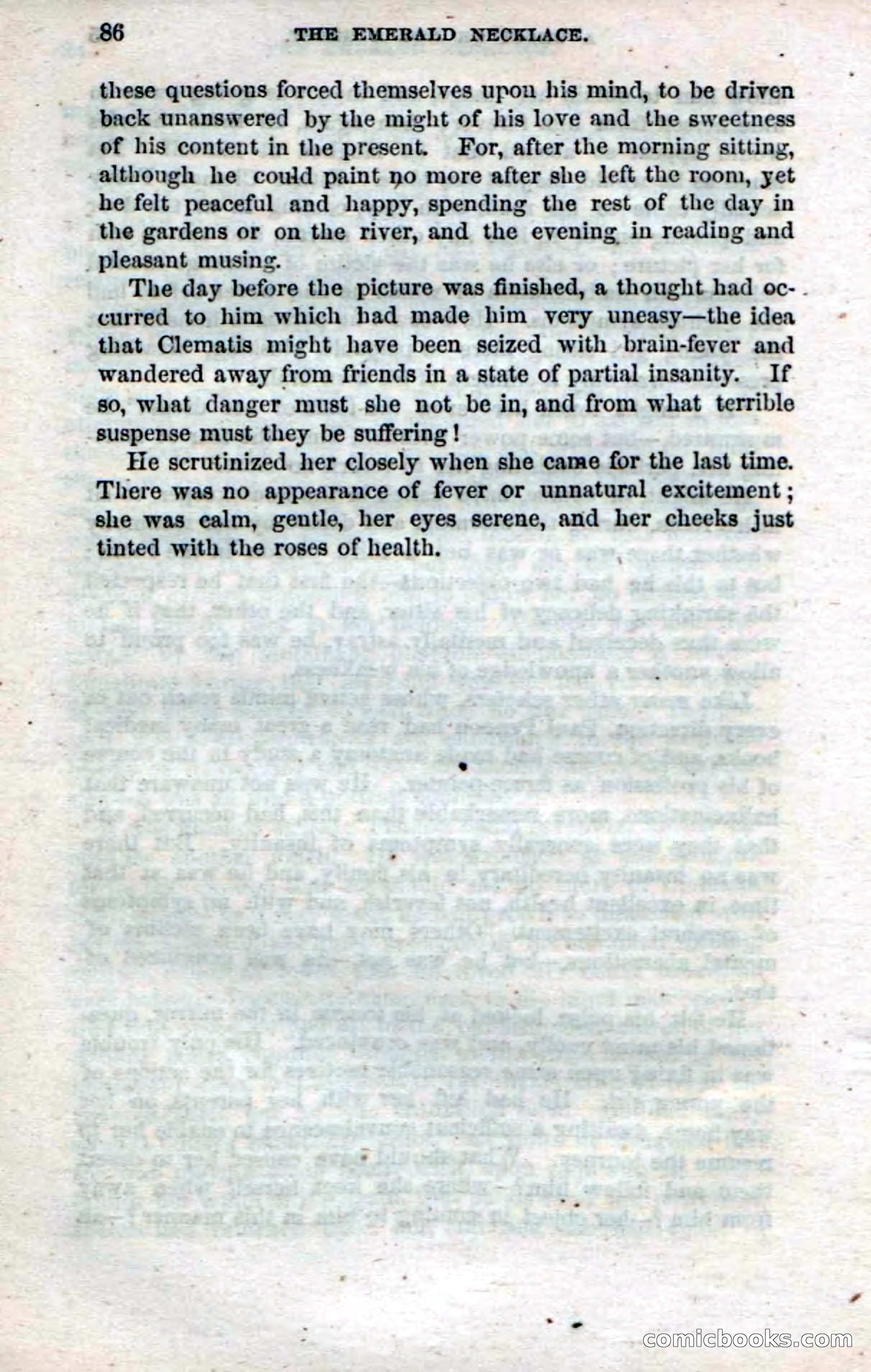 Beadle's Dime Novels No. 14 — page 88 of 116