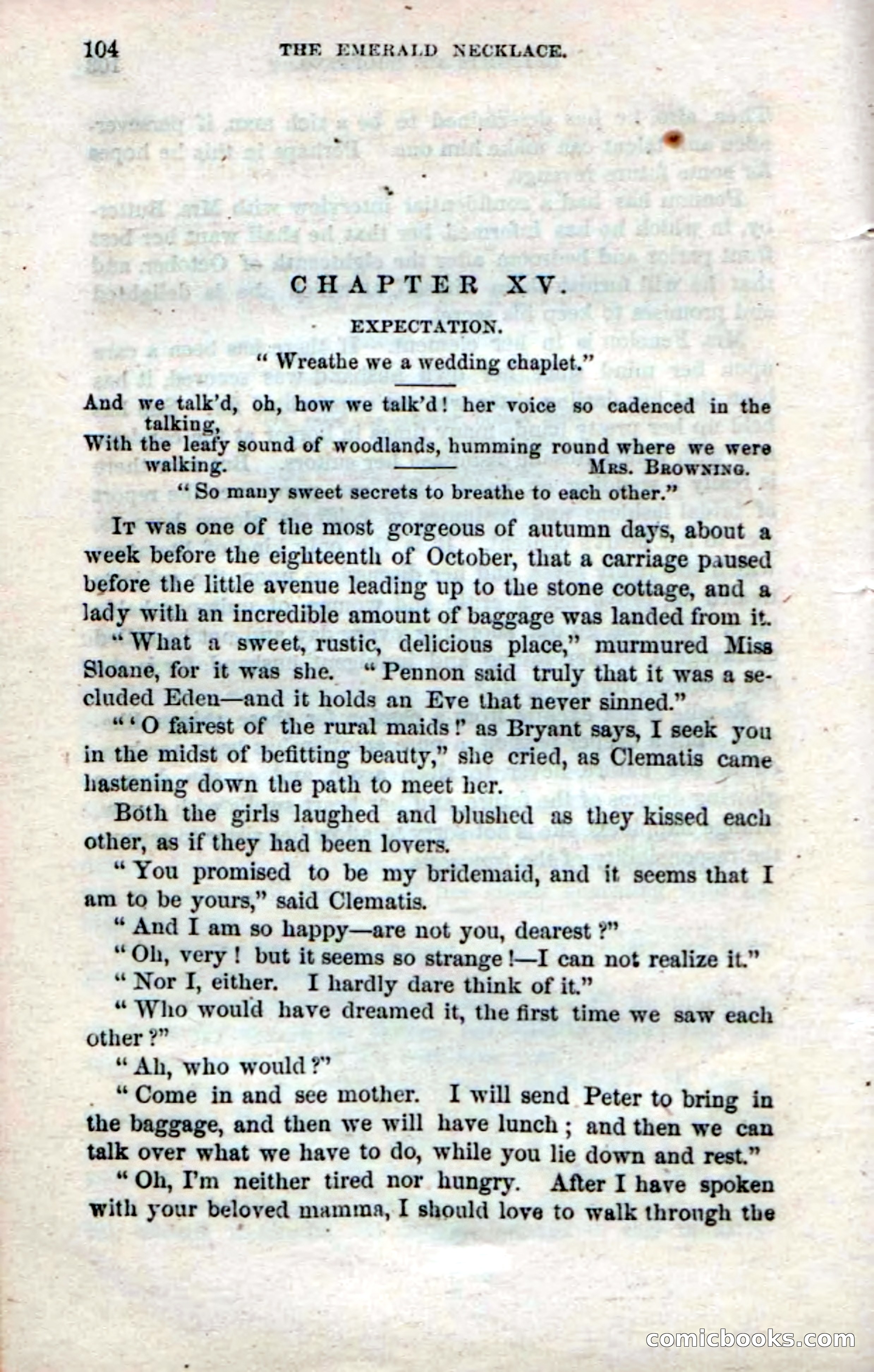Beadle's Dime Novels No. 14 — page 106 of 116
