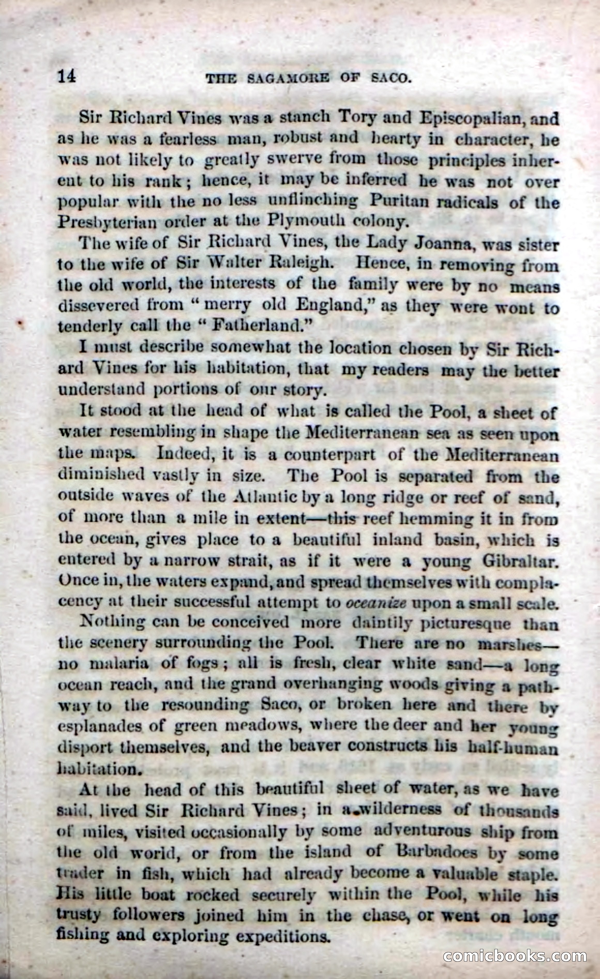Beadle's Dime Novels No. 142: The Sagamore of Saco — page 12 of 116