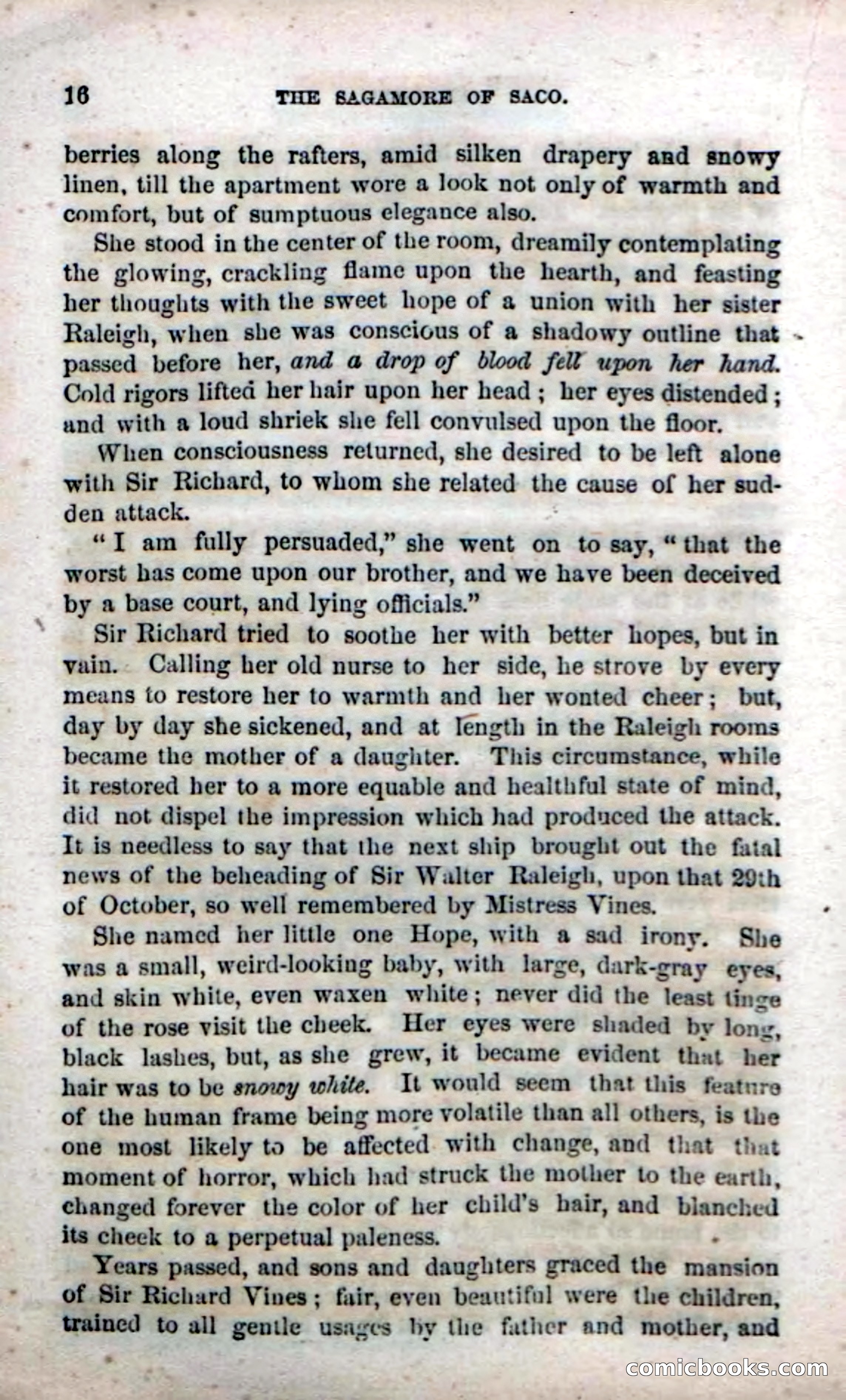 Beadle's Dime Novels No. 142: The Sagamore of Saco — page 14 of 116