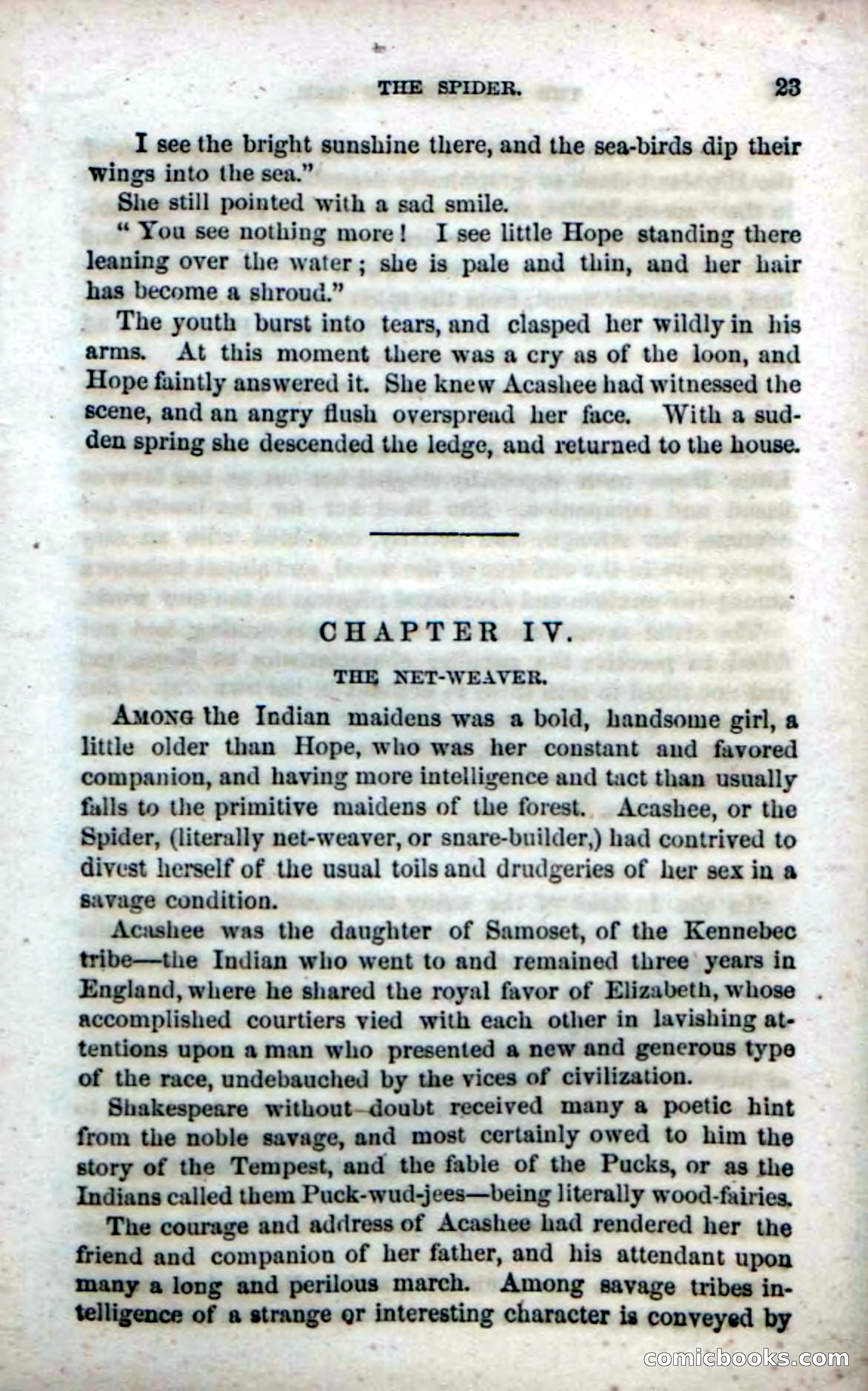 Beadle's Dime Novels No. 142: The Sagamore of Saco — page 21 of 116