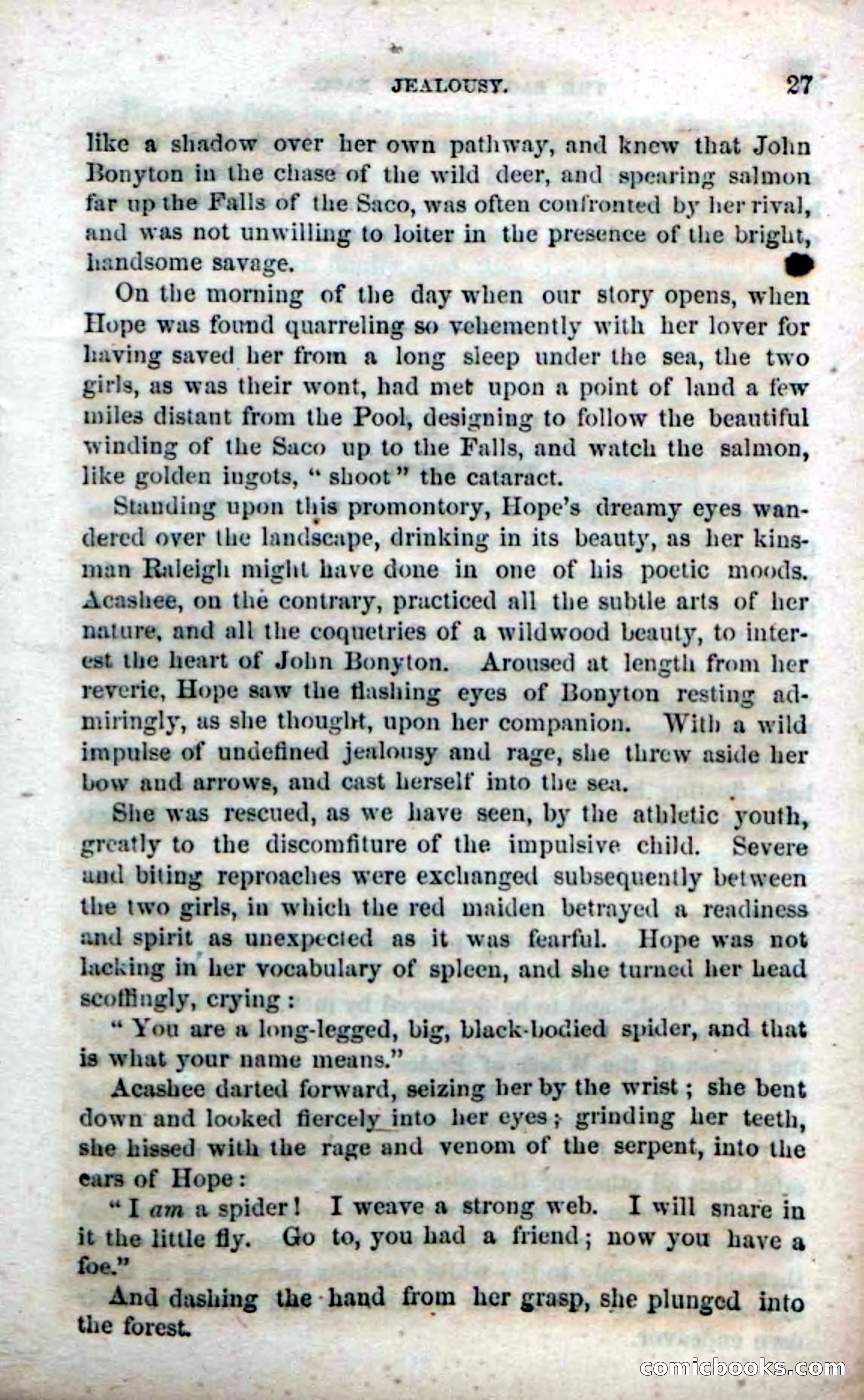 Beadle's Dime Novels No. 142: The Sagamore of Saco — page 25 of 116