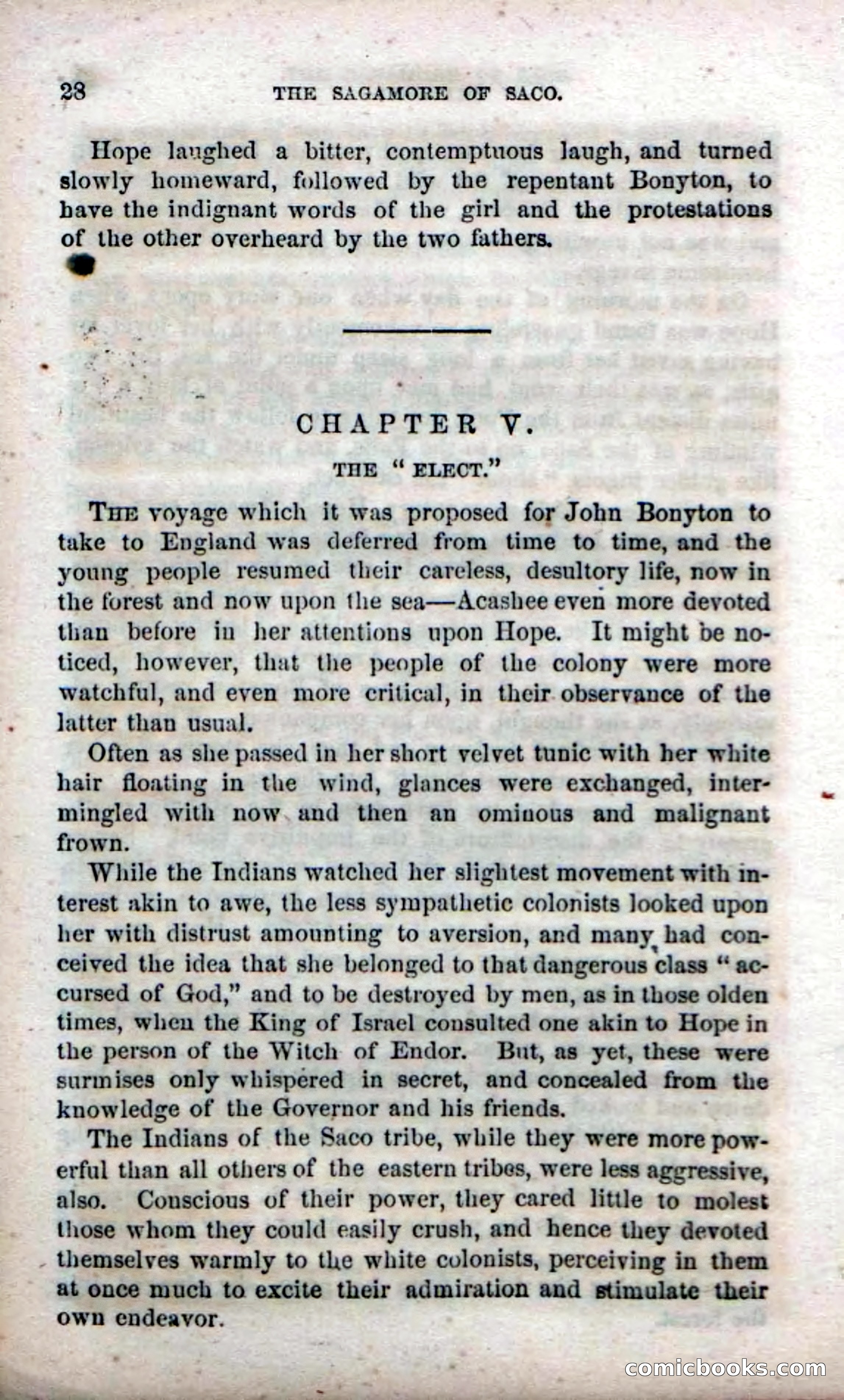 Beadle's Dime Novels No. 142: The Sagamore of Saco — page 26 of 116